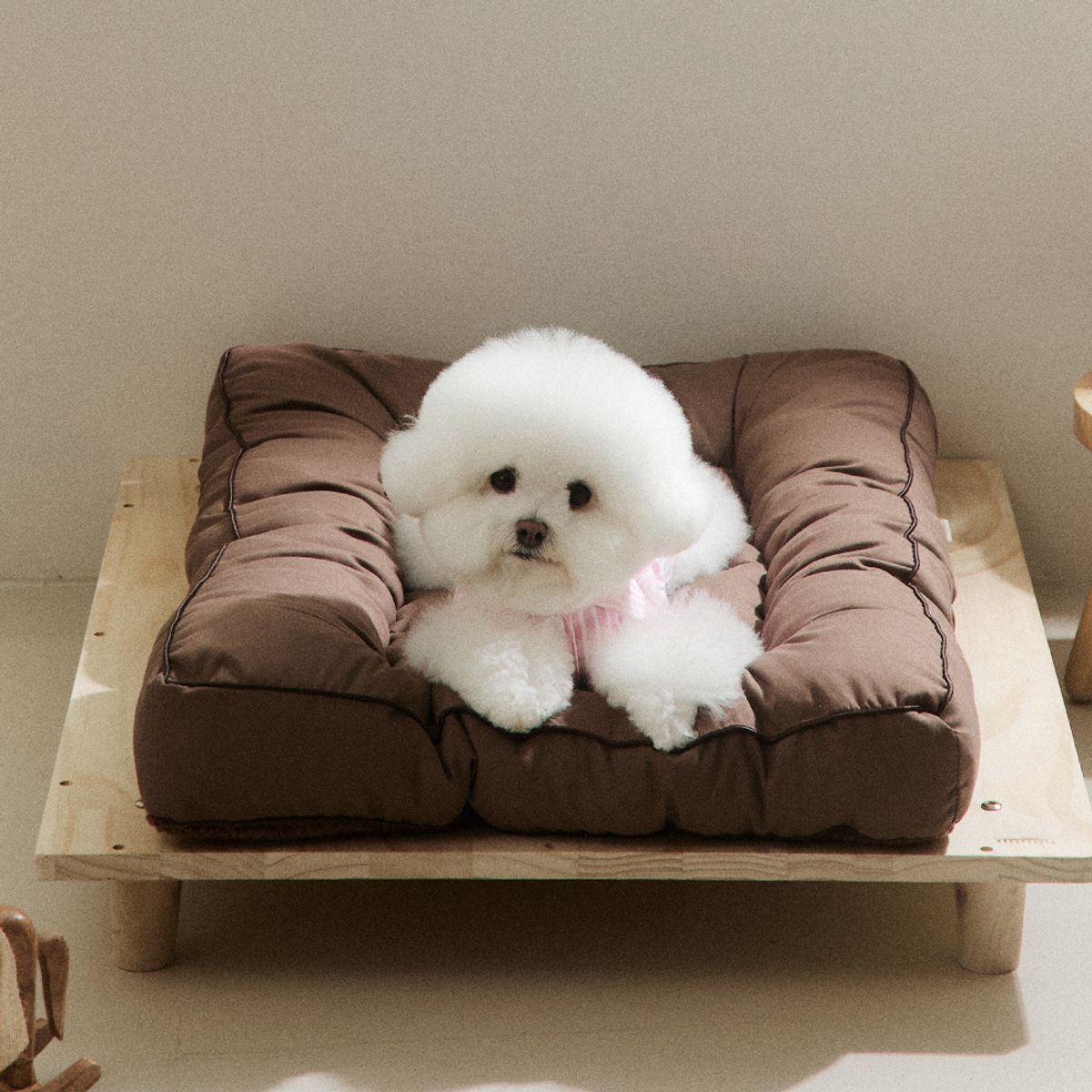 홈즈리빙(HOMESLIVING) 뭉연구소 10cm 뚱땡이 강아지 고양이 극세사 반반 토퍼 방석 4colors (SS/Q/K)