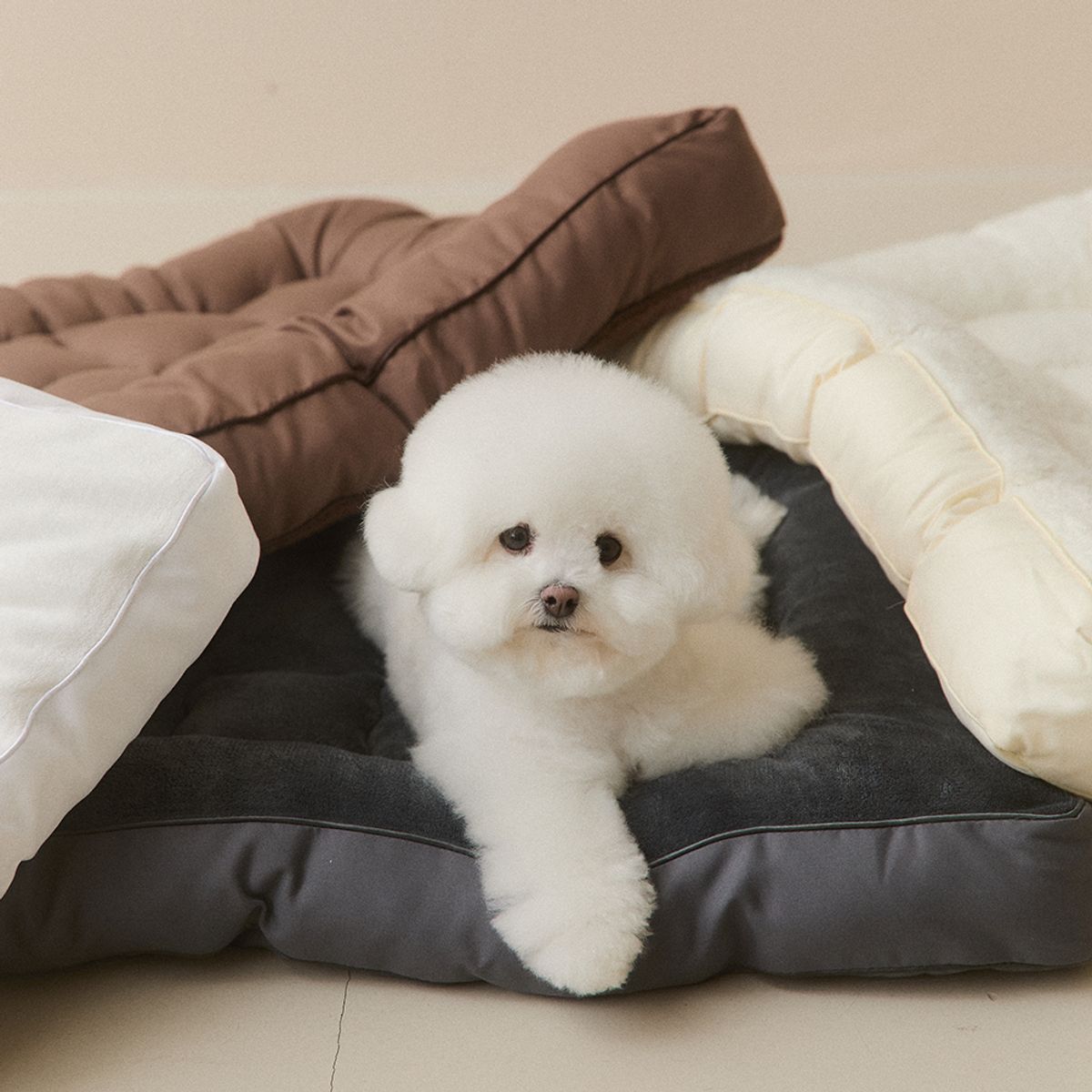 홈즈리빙(HOMESLIVING) 뭉연구소 10cm 뚱땡이 강아지 고양이 극세사 반반 토퍼 방석 4colors (SS/Q/K)