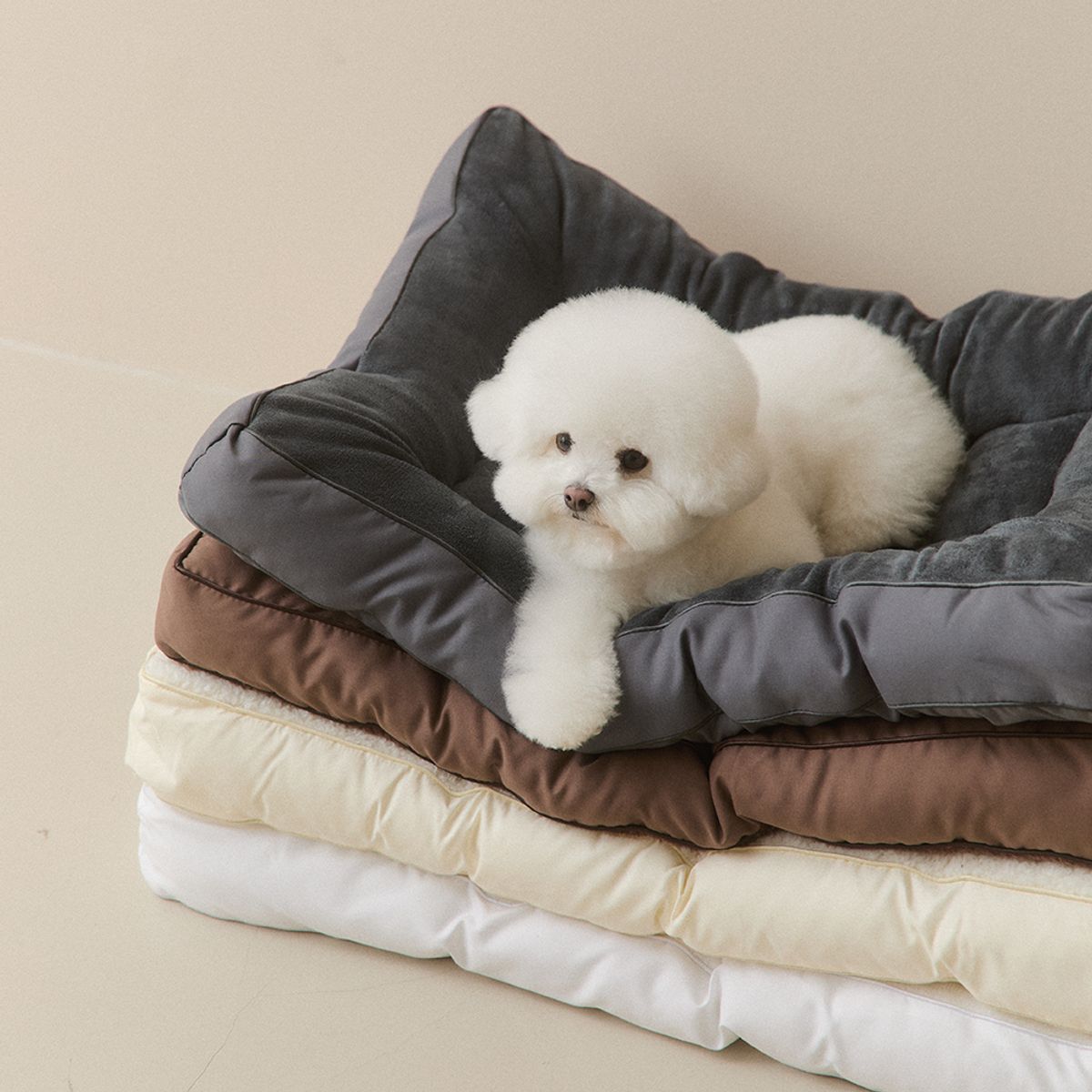 홈즈리빙(HOMESLIVING) 뭉연구소 10cm 뚱땡이 강아지 고양이 극세사 반반 토퍼 방석 4colors (SS/Q/K)