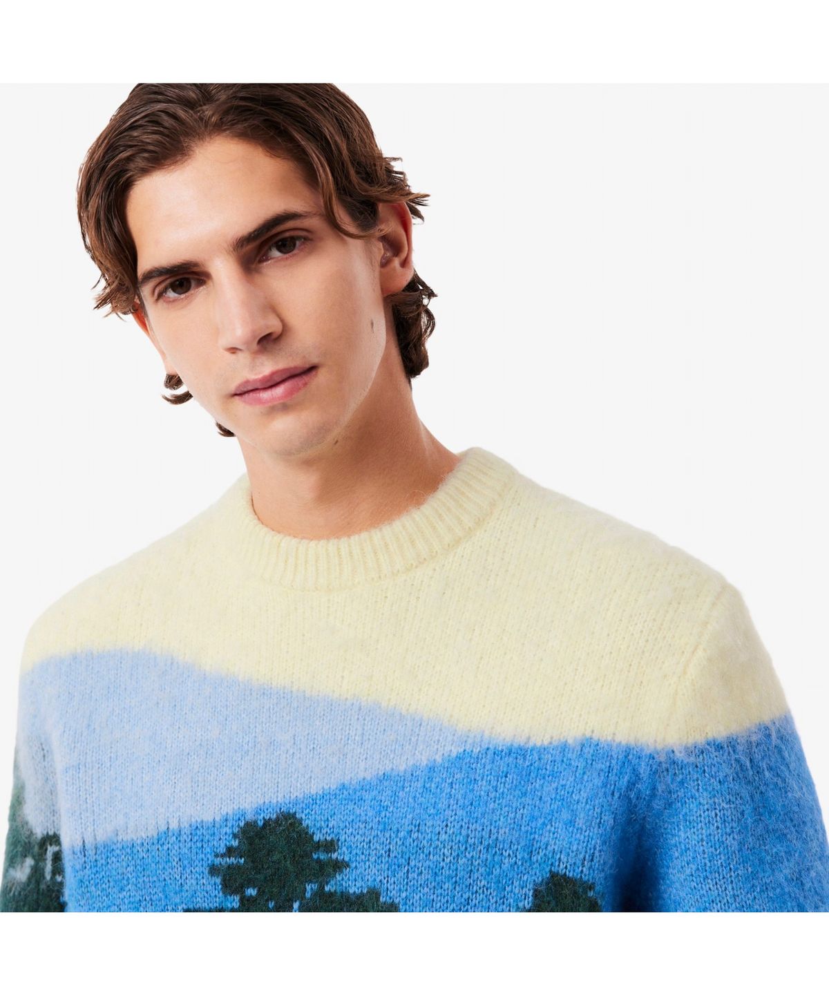 라코스테(LACOSTE) 남성 홀리데이 자카드 스웨터 AH5945-55N 9IK