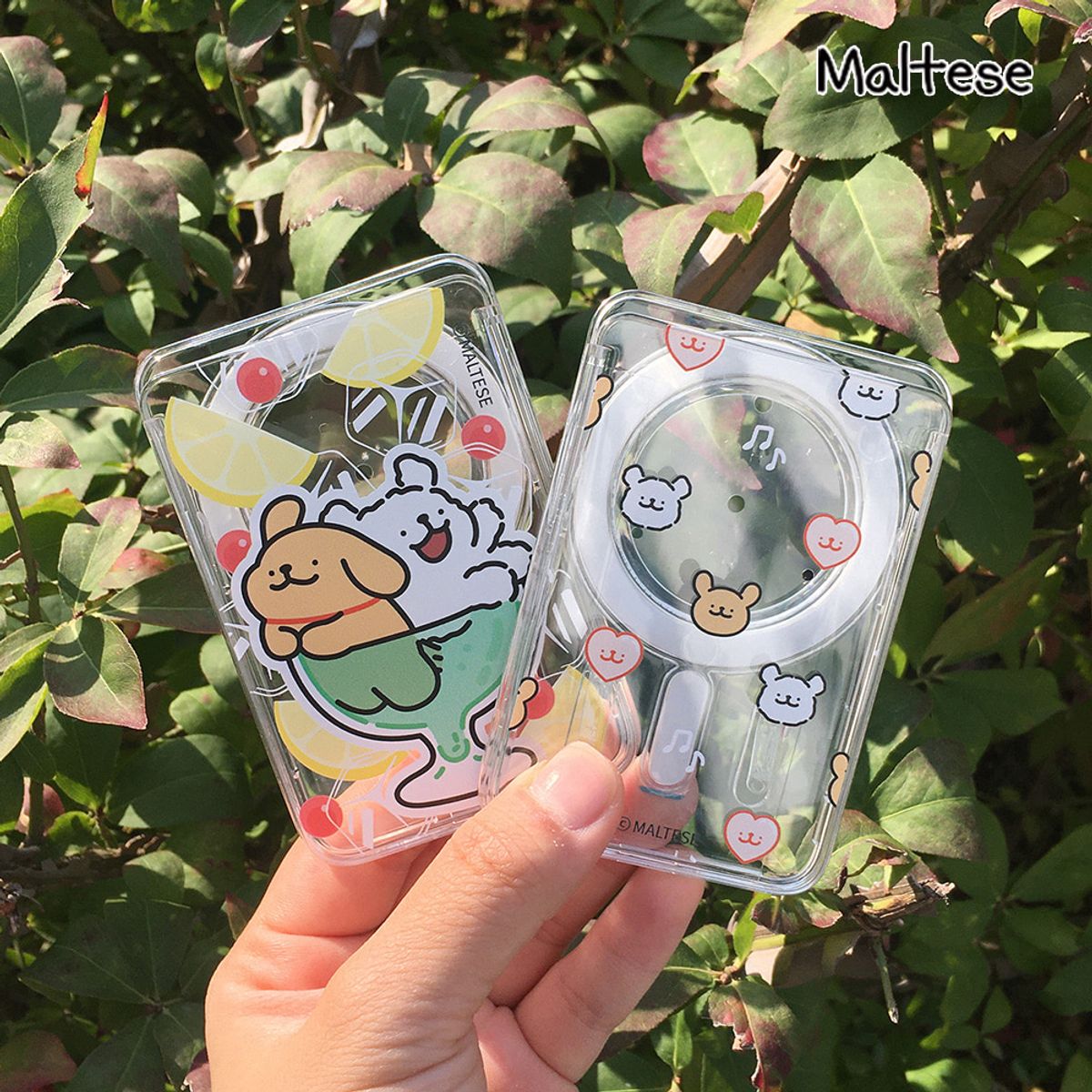 에잇클로드(8CLOTHE) 몰티즈 스위트 맥세이프 업다운 투명 카드 지갑 포켓 케이스 갤럭시 아이폰