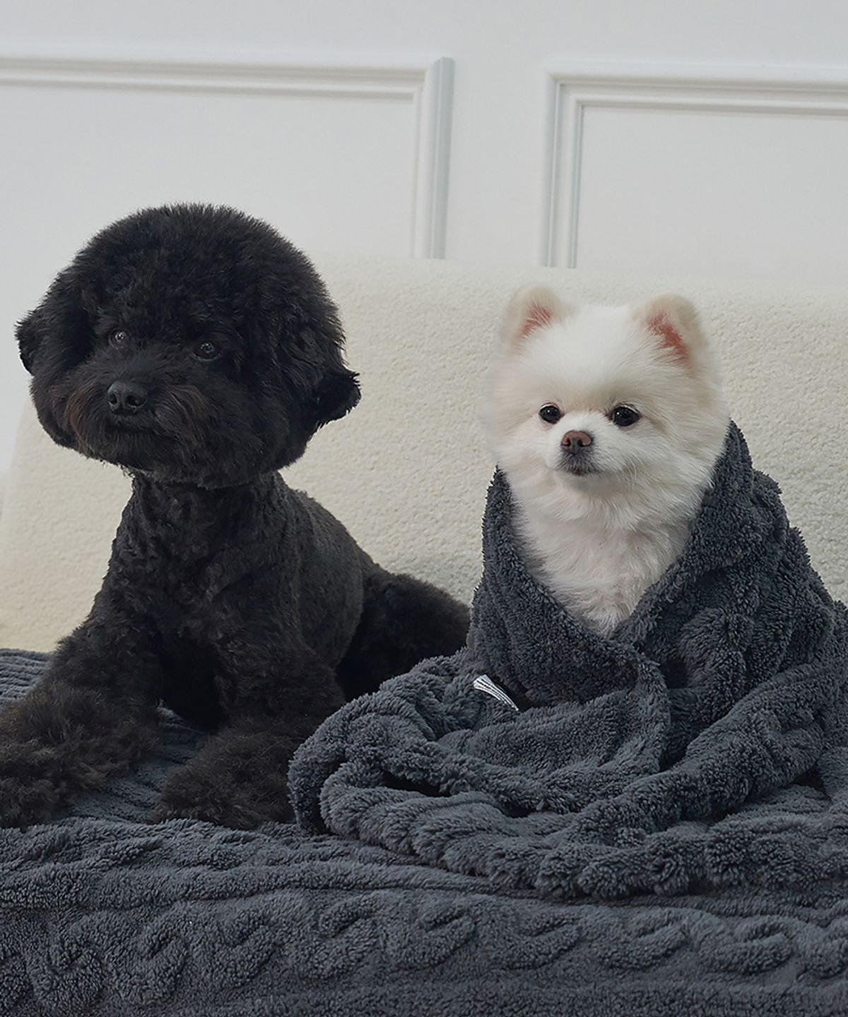 도그아이(DOGI) 강아지 꽈배기 니트 담요 이불 다크그레이