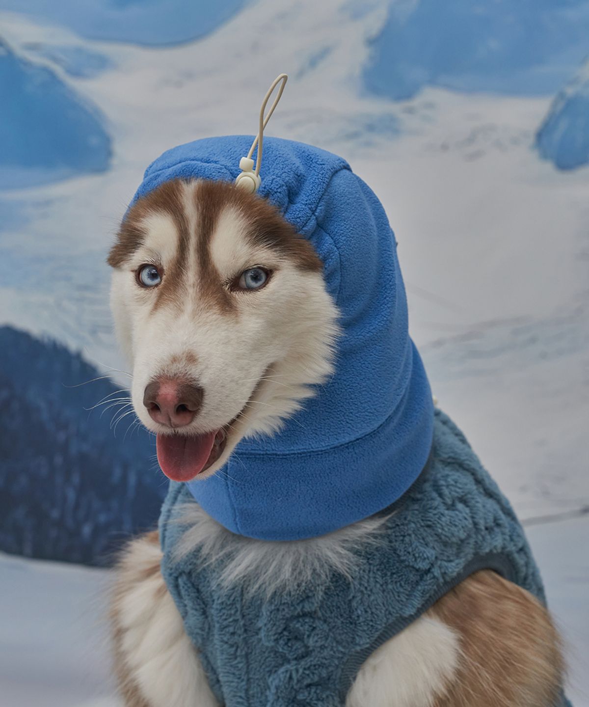 도그아이(DOGI) 강아지 모자 스누드 블루