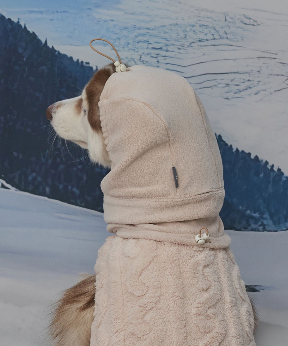 도그아이(DOGI) 강아지 모자 스누드 베이지