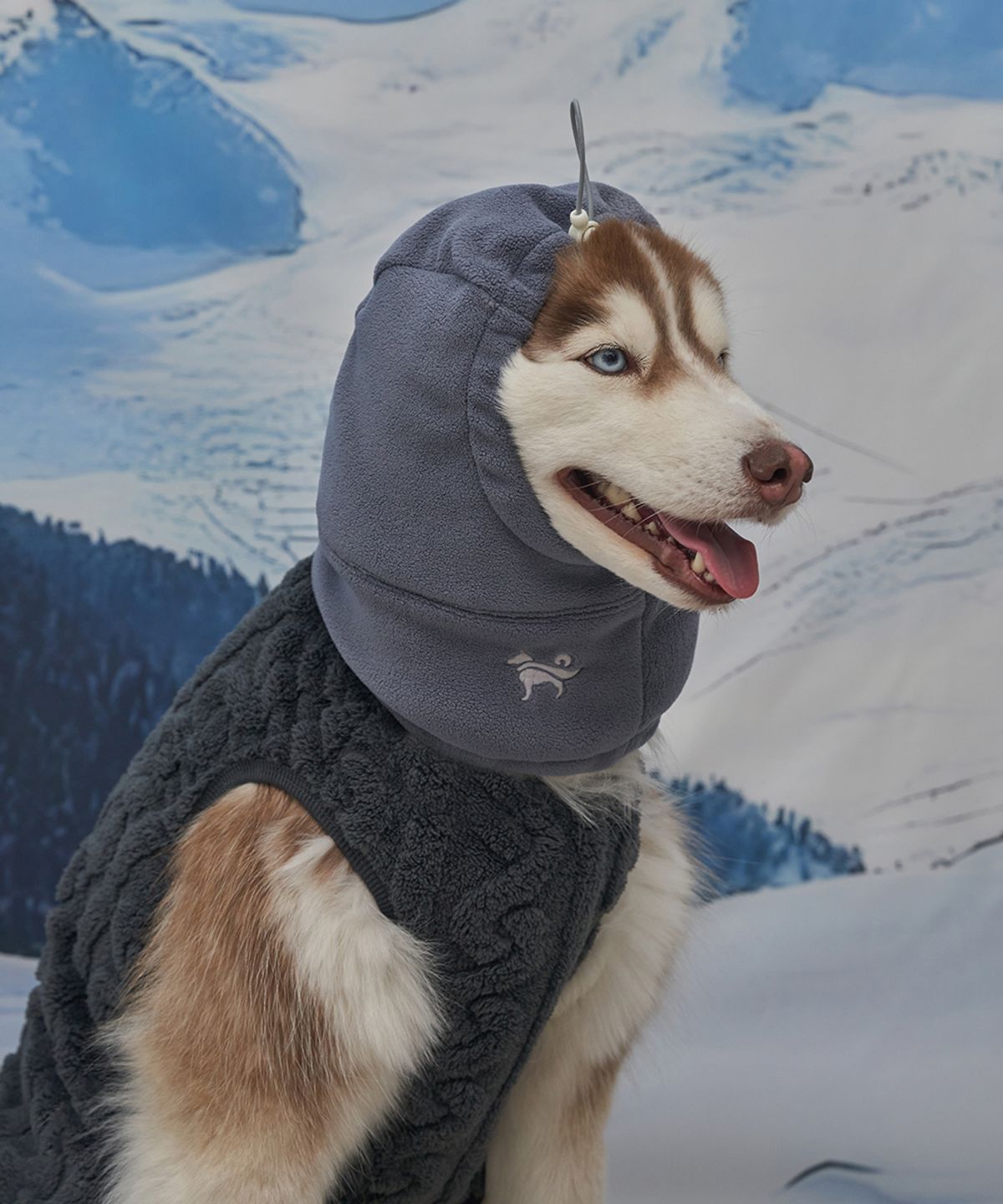 도그아이(DOGI) 강아지 모자 스누드 그레이
