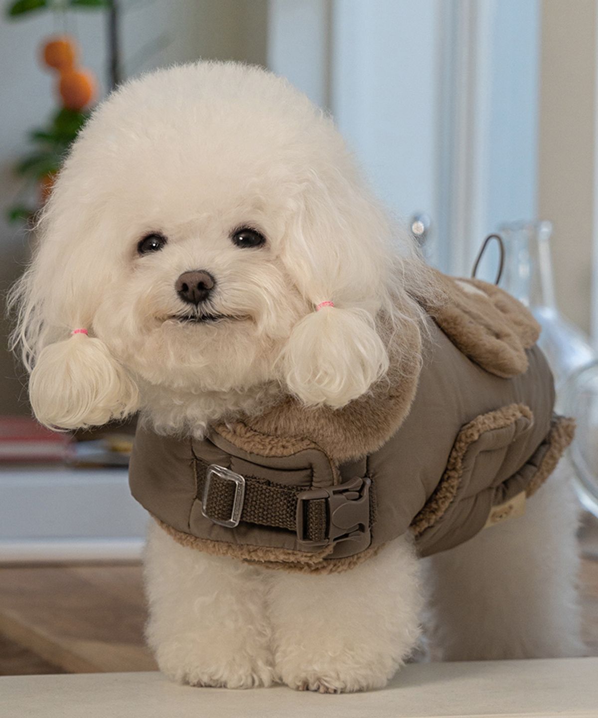베일리(BAILEY) 강아지 겨울 하네스옷 테디 포켓 망토 패딩 브라운