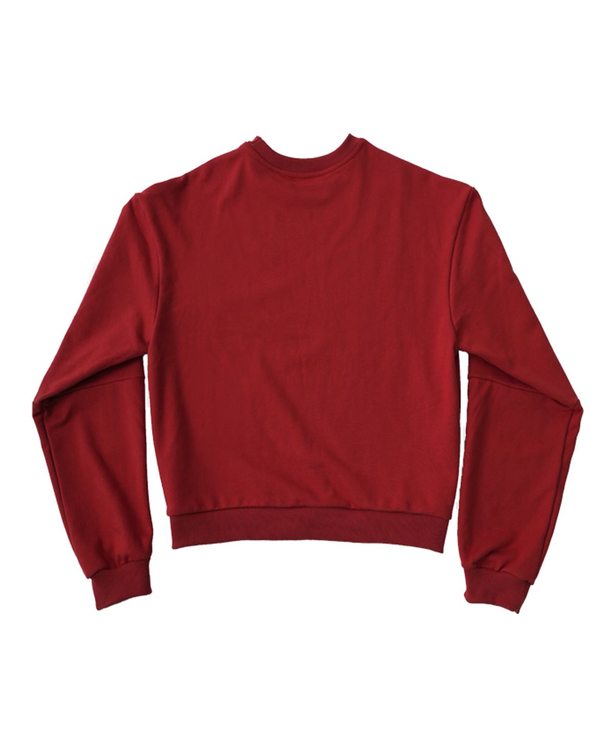 씨비전 바이 씨에스씨(CIVISION BY CSC) ICONIC SWEATSHIRT RED (MENS)
