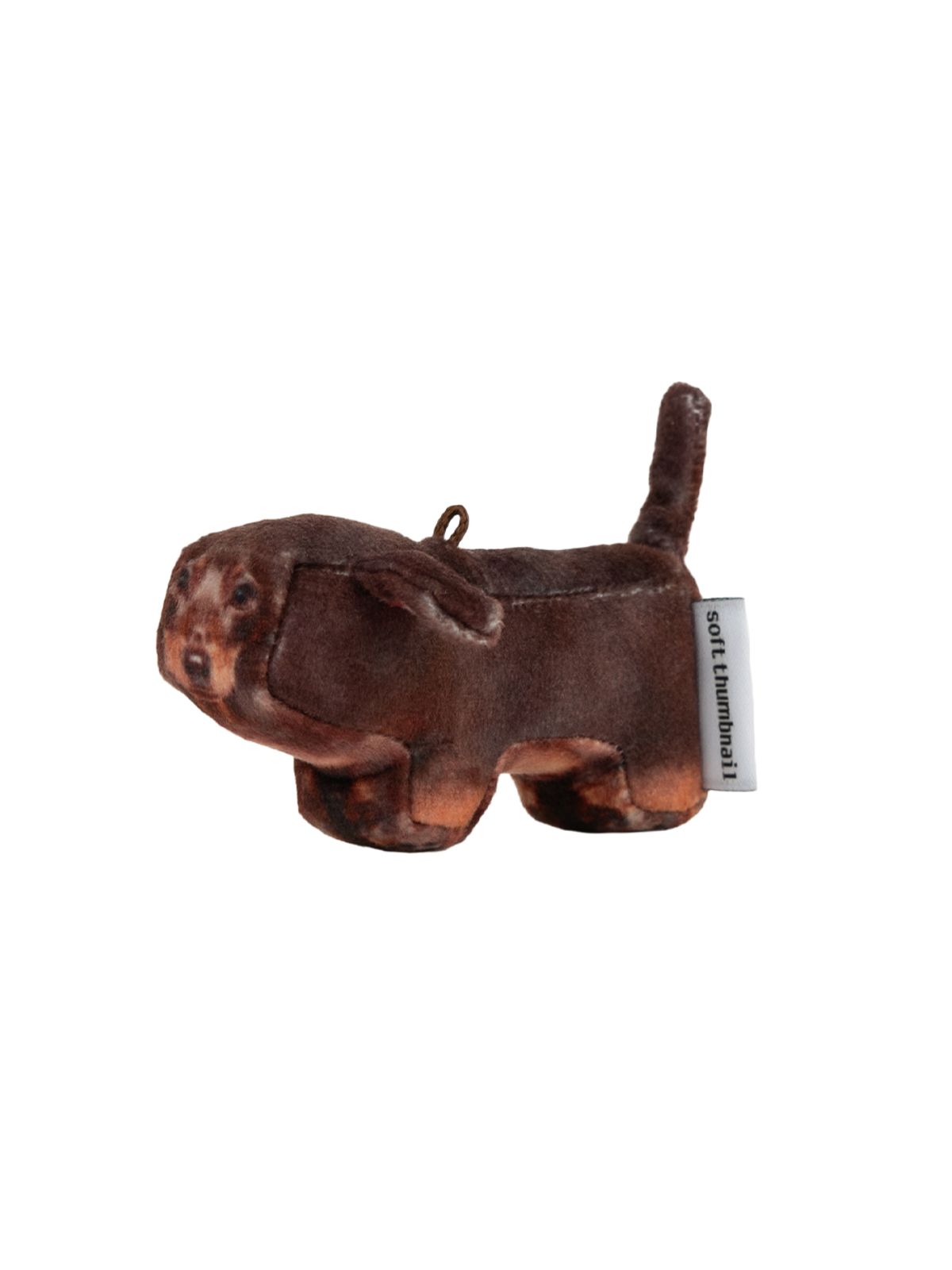 소프트썸네일(SOFTTHUMBNAIL) Tam, Dachshund