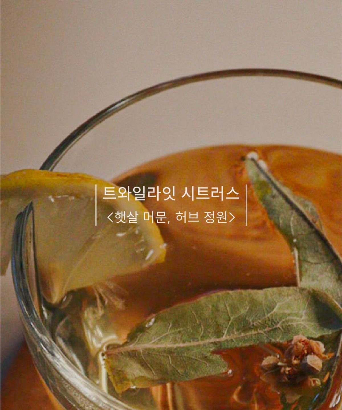 비리얼비유(BEREAL BEYOU) 멀티퍼퓸 트와일라잇 시트러스 50ml +3ml 증정 (룸스프레이 섬유향수 집들이선물) 니치향 /호텔향