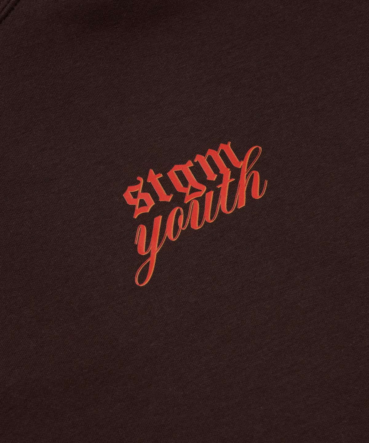 스티그마(STIGMA) [STGM youth] LOGO HOODIE BRN