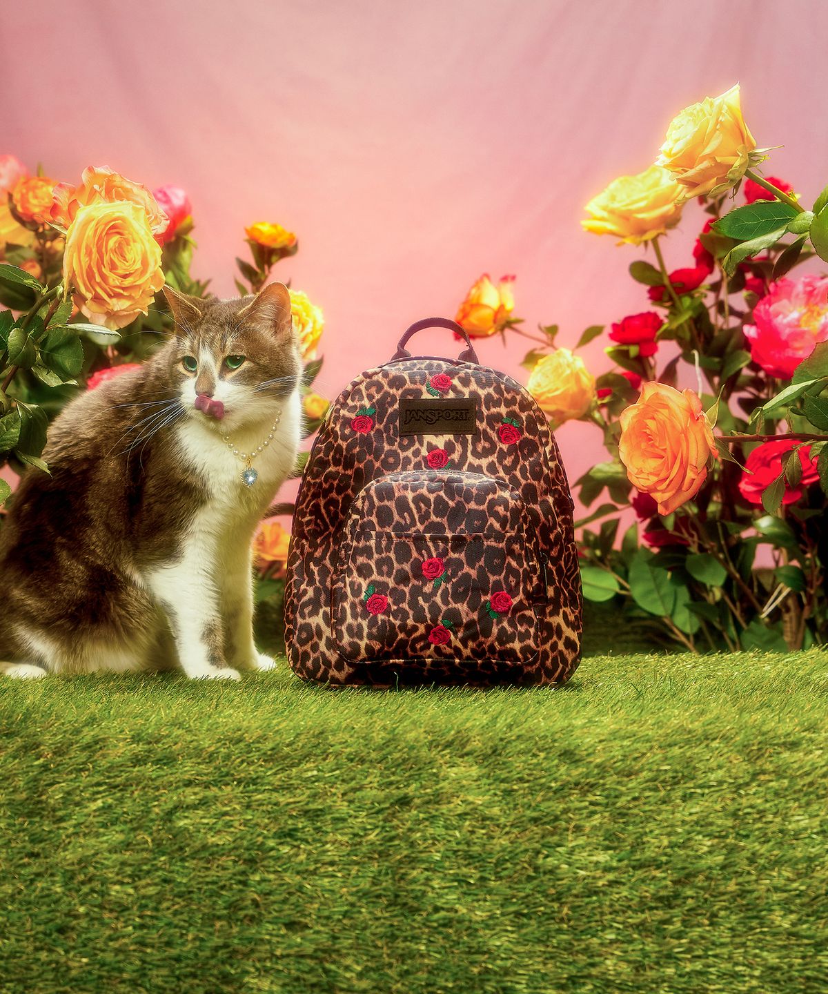 잔스포츠(JANSPORT) 하프파인트 FX LEOPARD ROSE