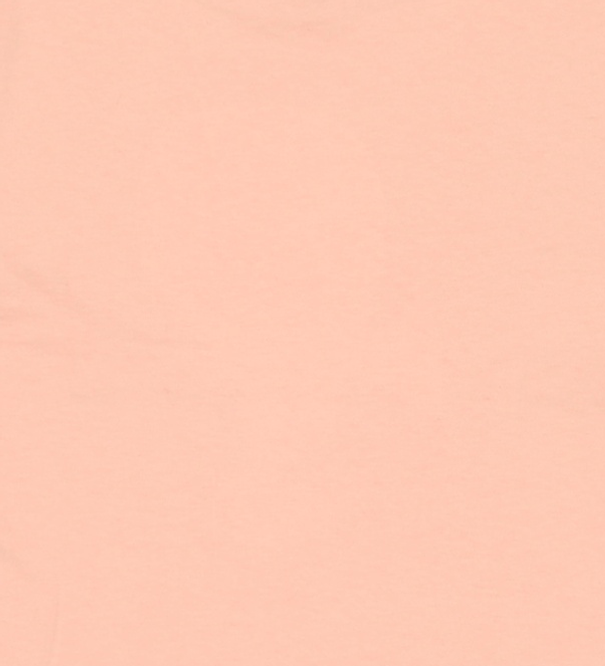 시눈(SINOON) Sinoon Signature Logo T-Shirts (Apricot) S