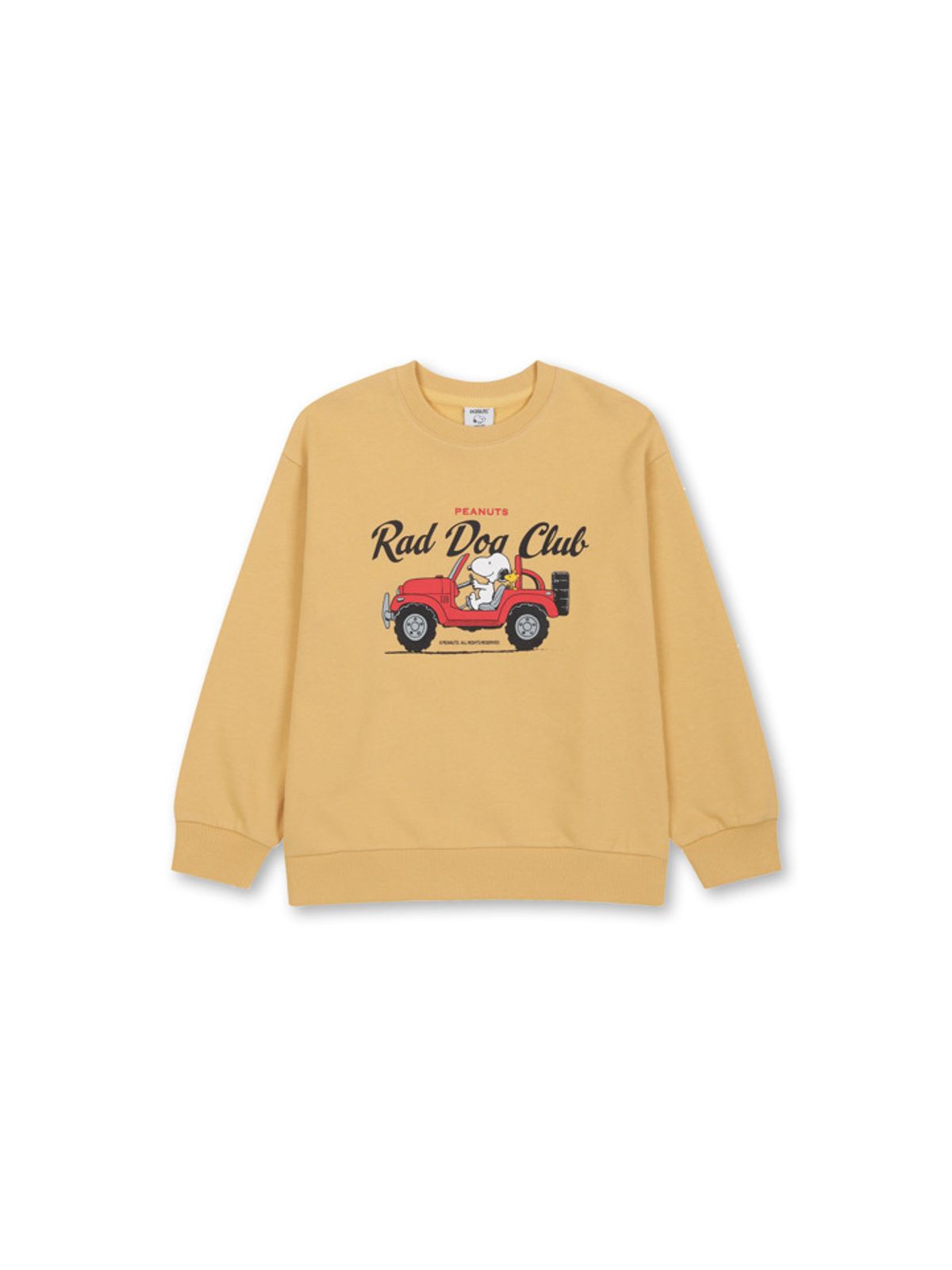 탑텐 키즈(TOPTEN KIDS) 공용 피너츠 테리 스웨트셔츠_MKG1TR3804