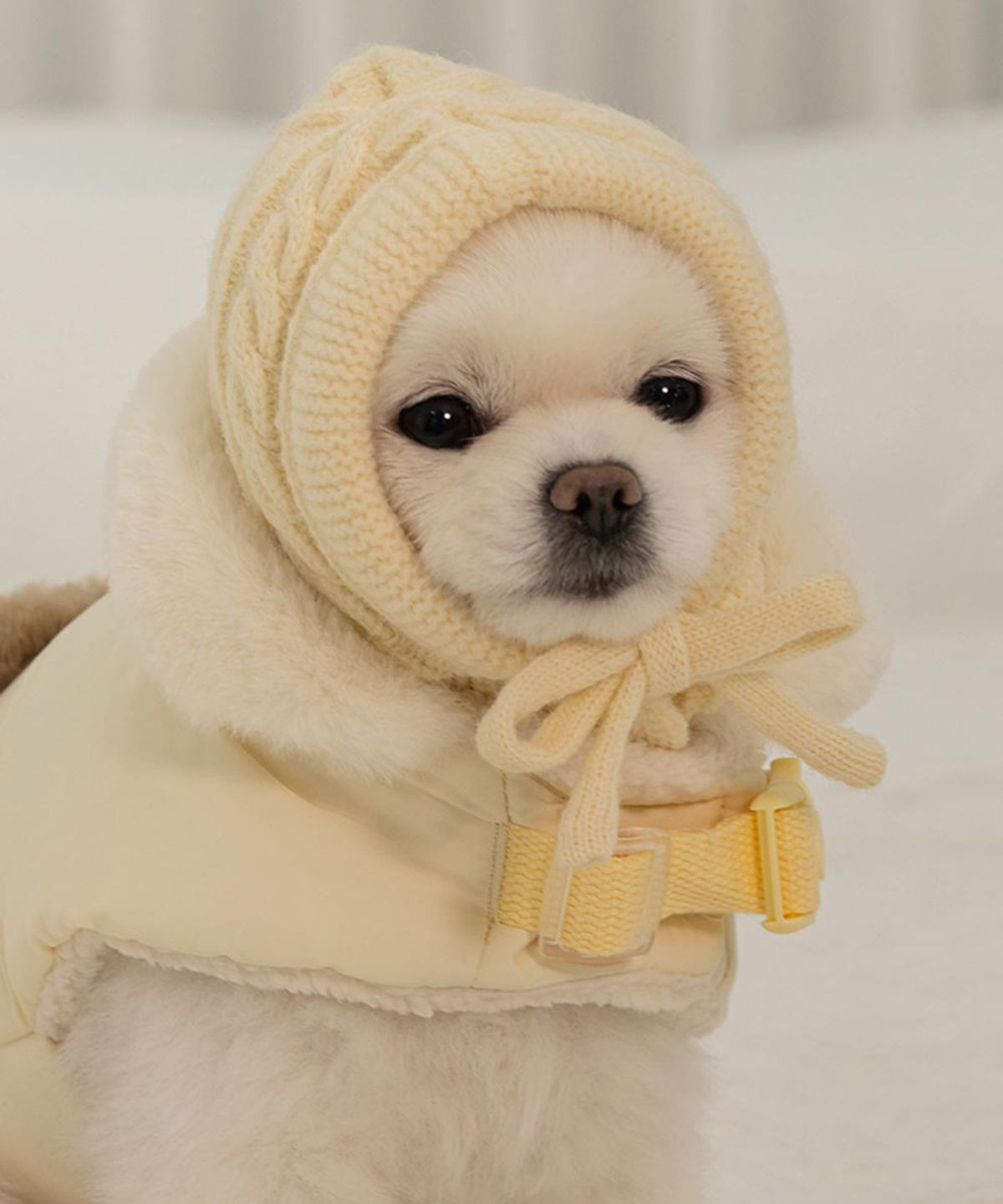 베일리(BAILEY) 강아지 모자 바라클라바 아이보리