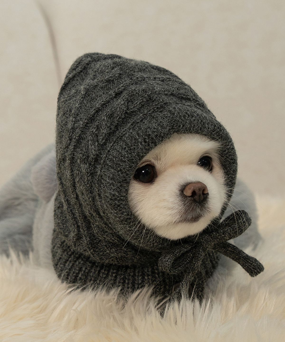 베일리(BAILEY) 강아지 모자 바라클라바 차콜