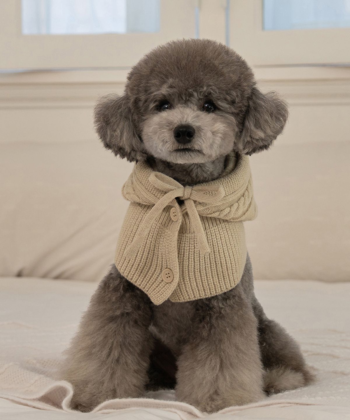베일리(BAILEY) 강아지 모자 바라클라바 메란지