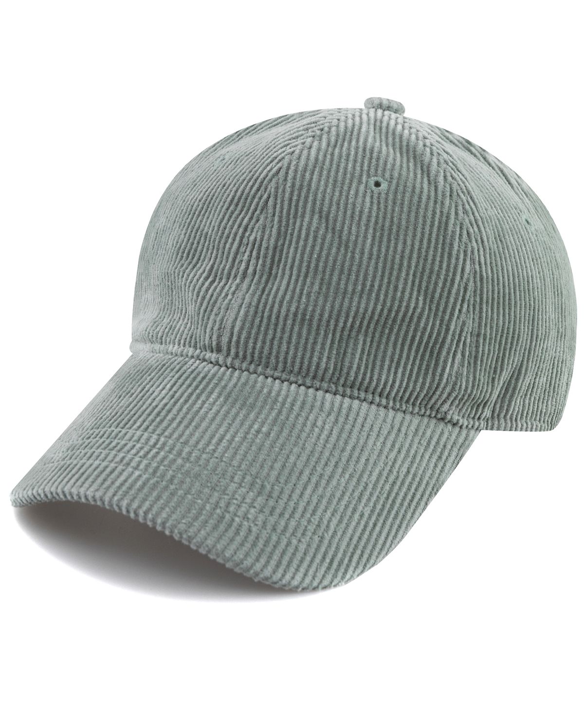 챕터(CHAPTER) SIGNATURE CORDUROY BALL CAP-민트