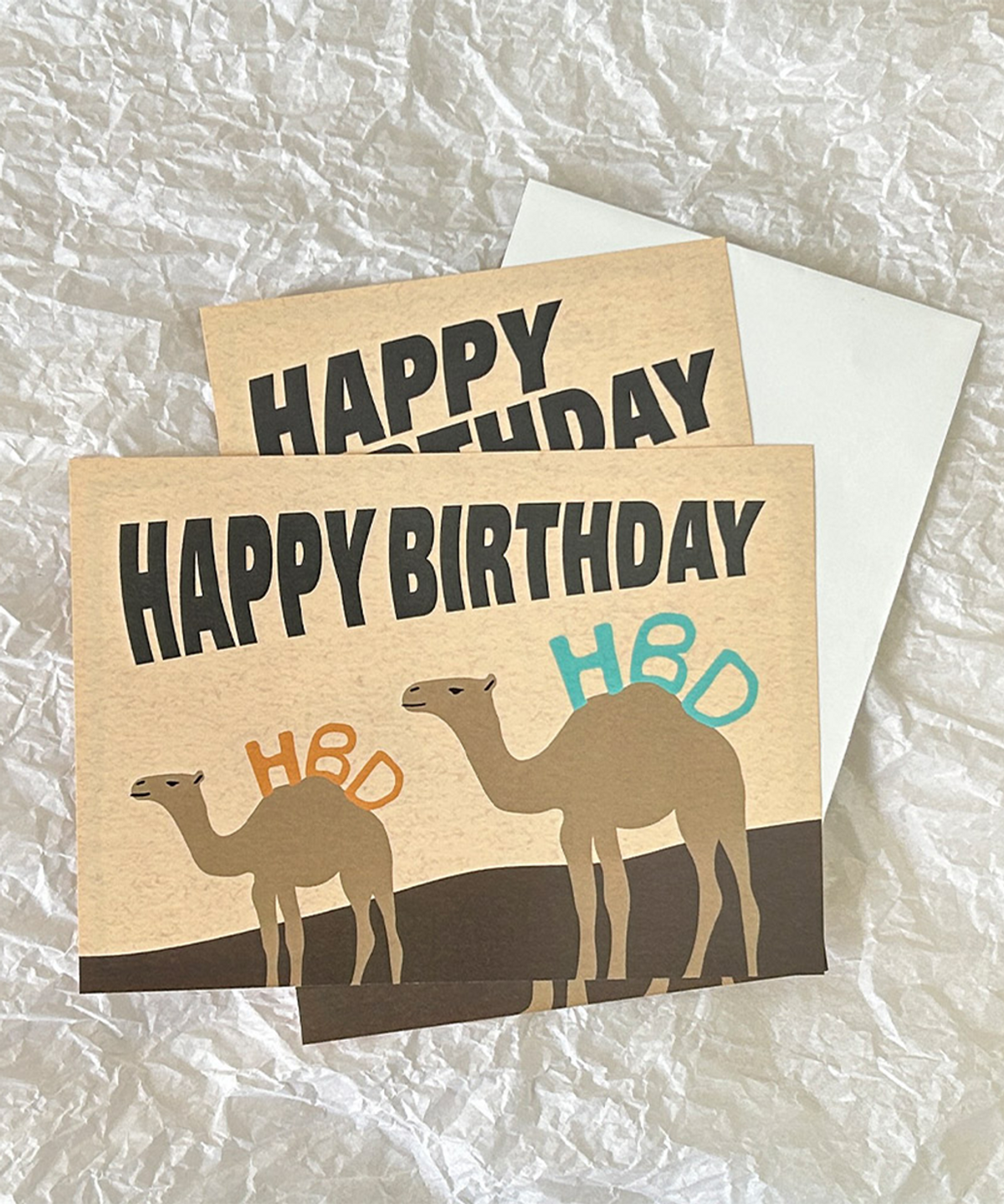 콩주편지(KONGJUDESIGNS) 낙타 생일 편지지 세트