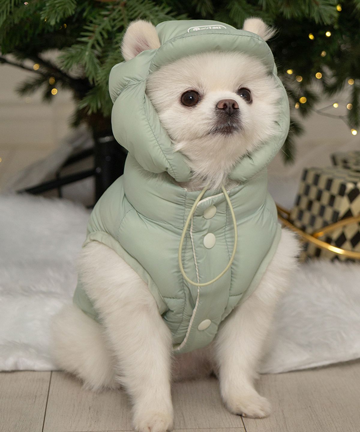 베일리(BAILEY) 강아지 겨울 모자 스노우캡 미스틱민트