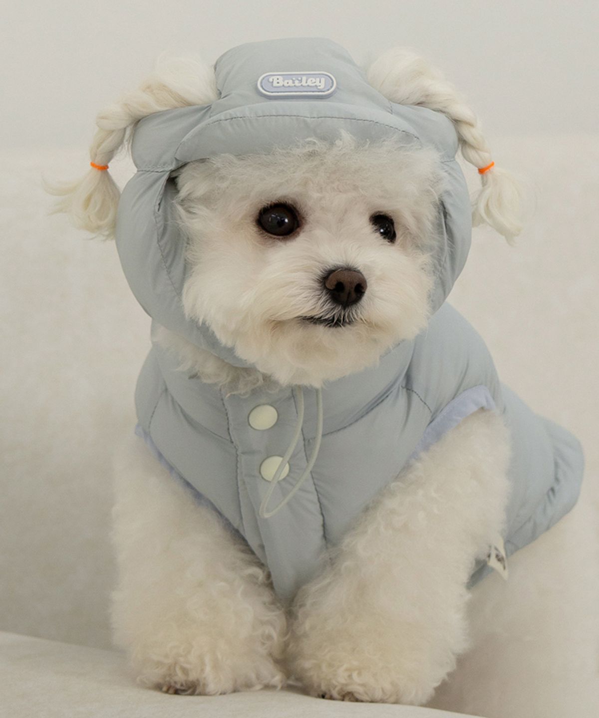 베일리(BAILEY) 강아지 겨울 모자 스노우캡  코튼블루