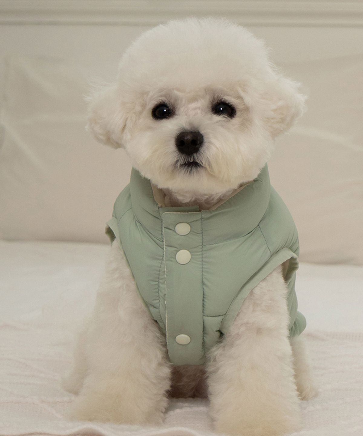 베일리(BAILEY) 강아지 패딩 하네스옷 스노우팝 미스틱민트
