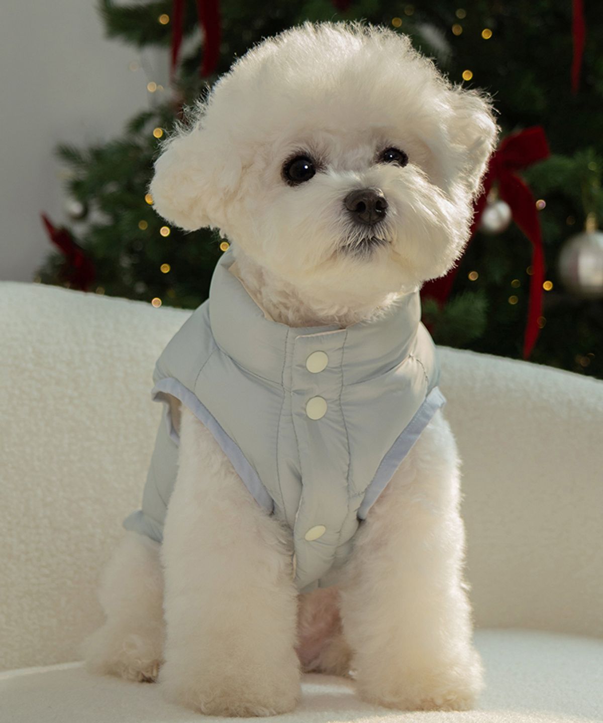 베일리(BAILEY) 강아지 패딩 하네스옷 스노우팝 코튼블루