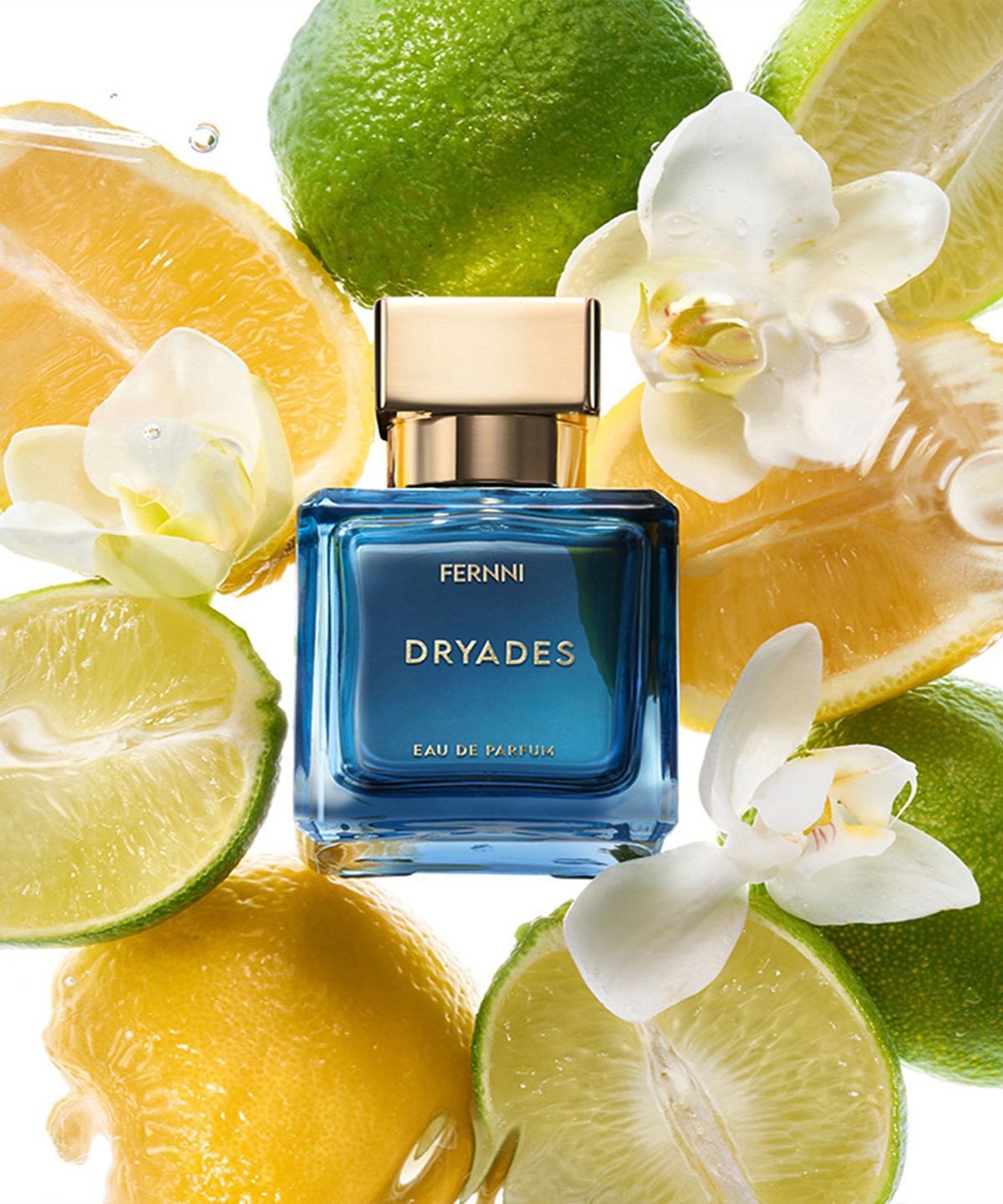 페르니(FERNNI) 드리아데스 오 데 퍼퓸 50ml (+쇼핑백 증정)