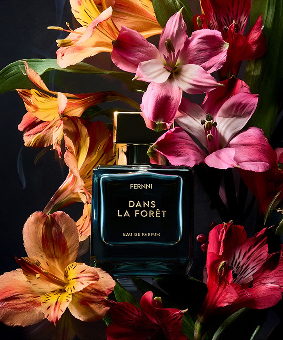 페르니(FERNNI) 단스 라 포레 오 데 퍼퓸 50ml