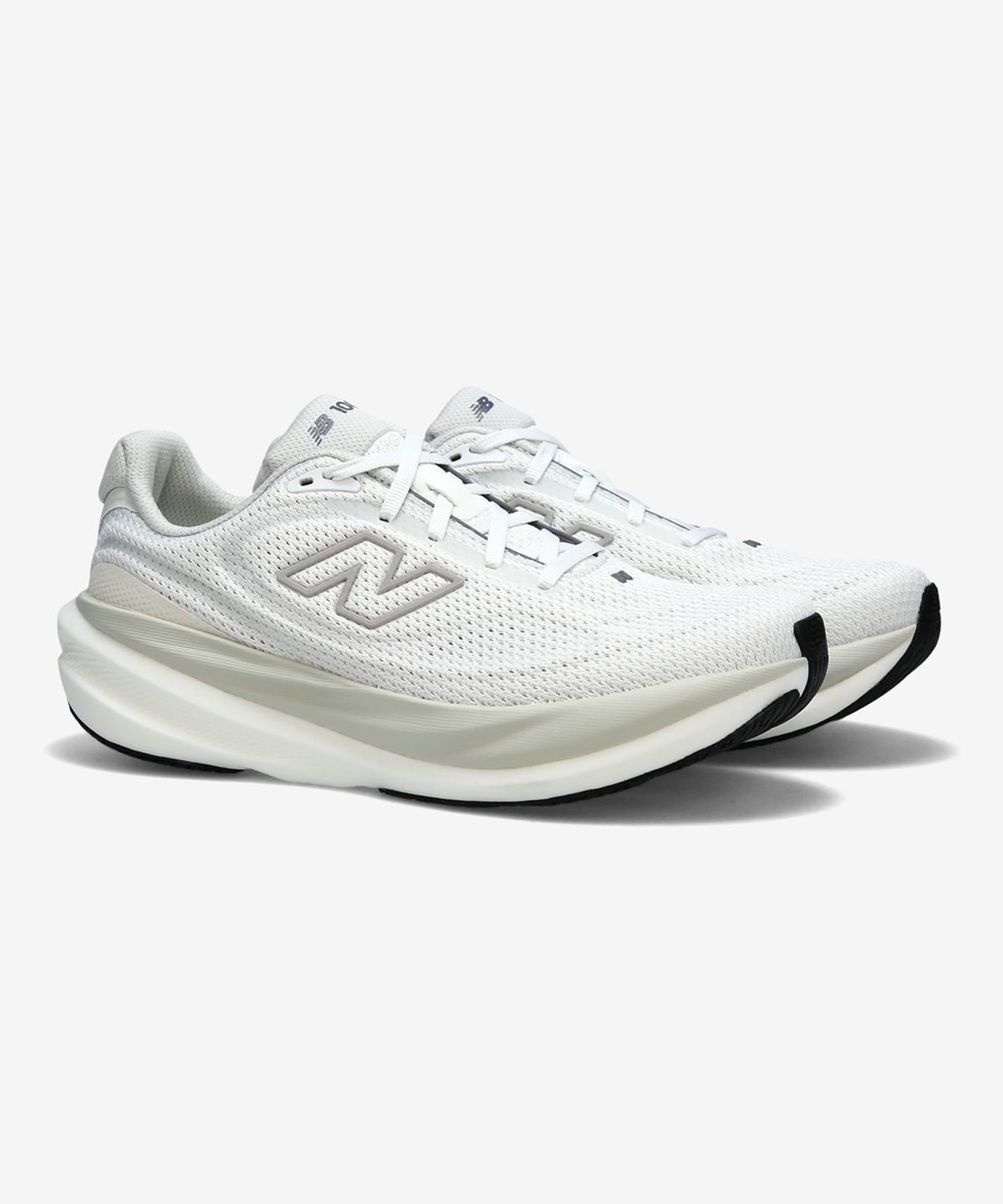 뉴발란스(NEW BALANCE) NBPFGS103W / 1080 V15 (남성, 2E) (L/GRAY)