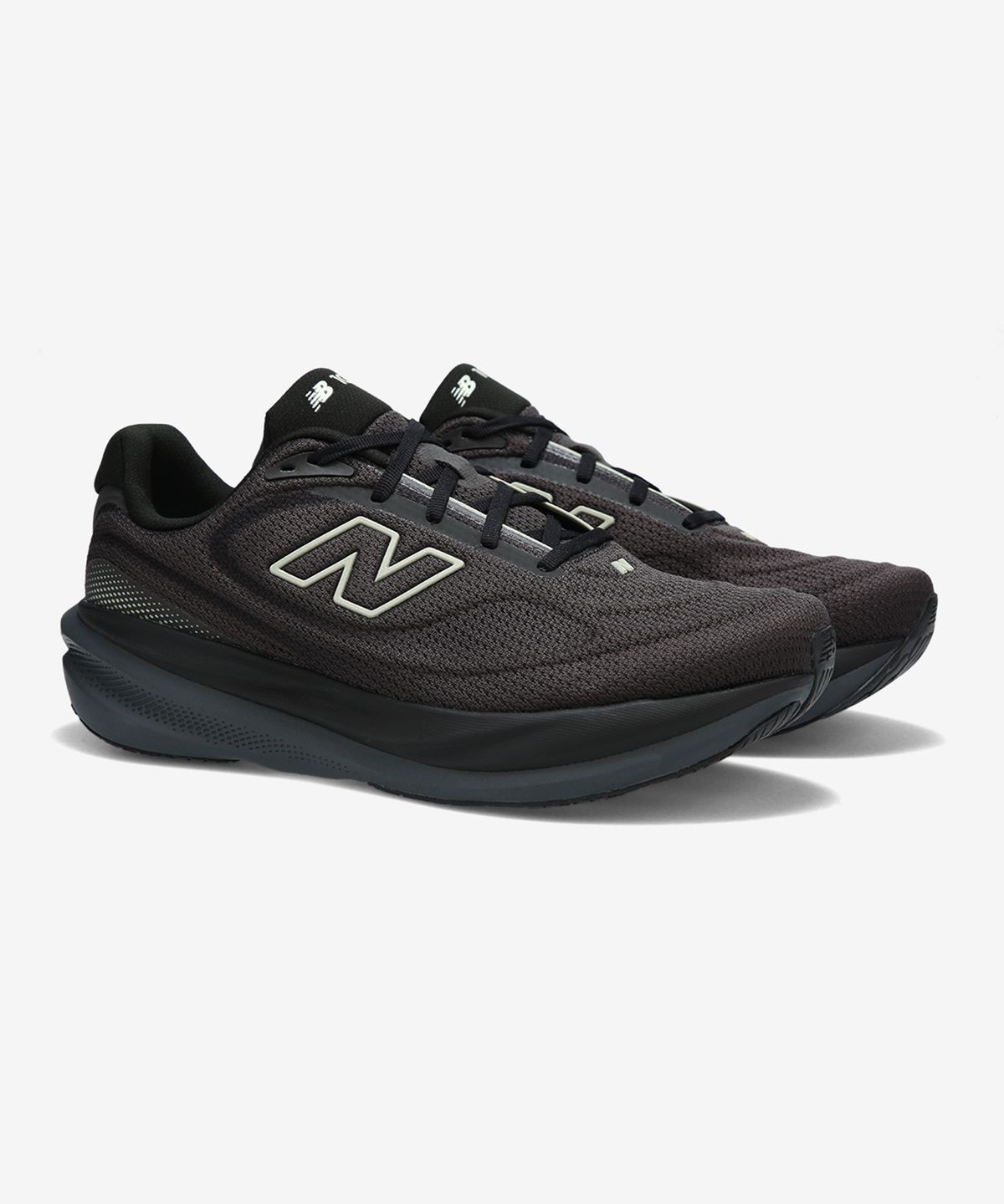 뉴발란스(NEW BALANCE) NBPFGS102T / 1080 V15 (남성, 4E) (BLACK)