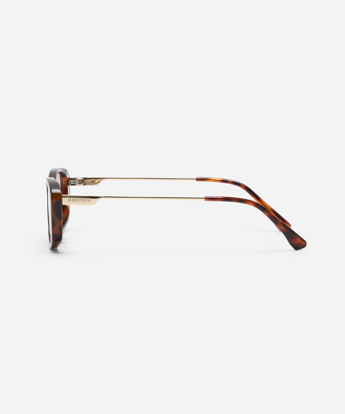 네오테리아(NEOTERIA) KAVEN · LEOPARD