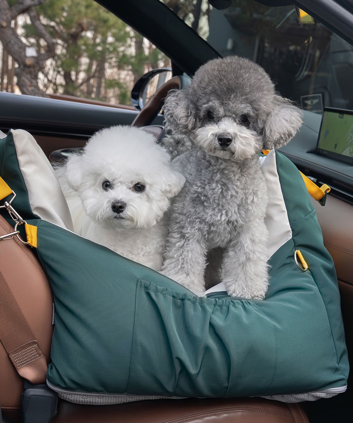 슈퍼펫(SUPERPET) 강아지 세이프쉴드 카시트