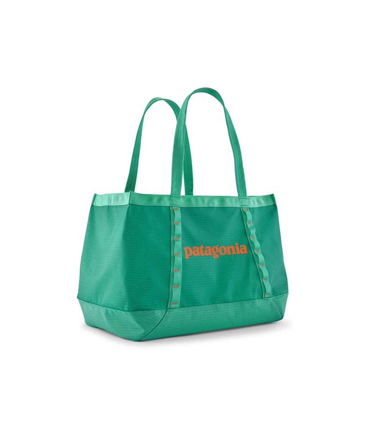 파타고니아(PATAGONIA) 블랙 홀 토트 25L / 49032R5