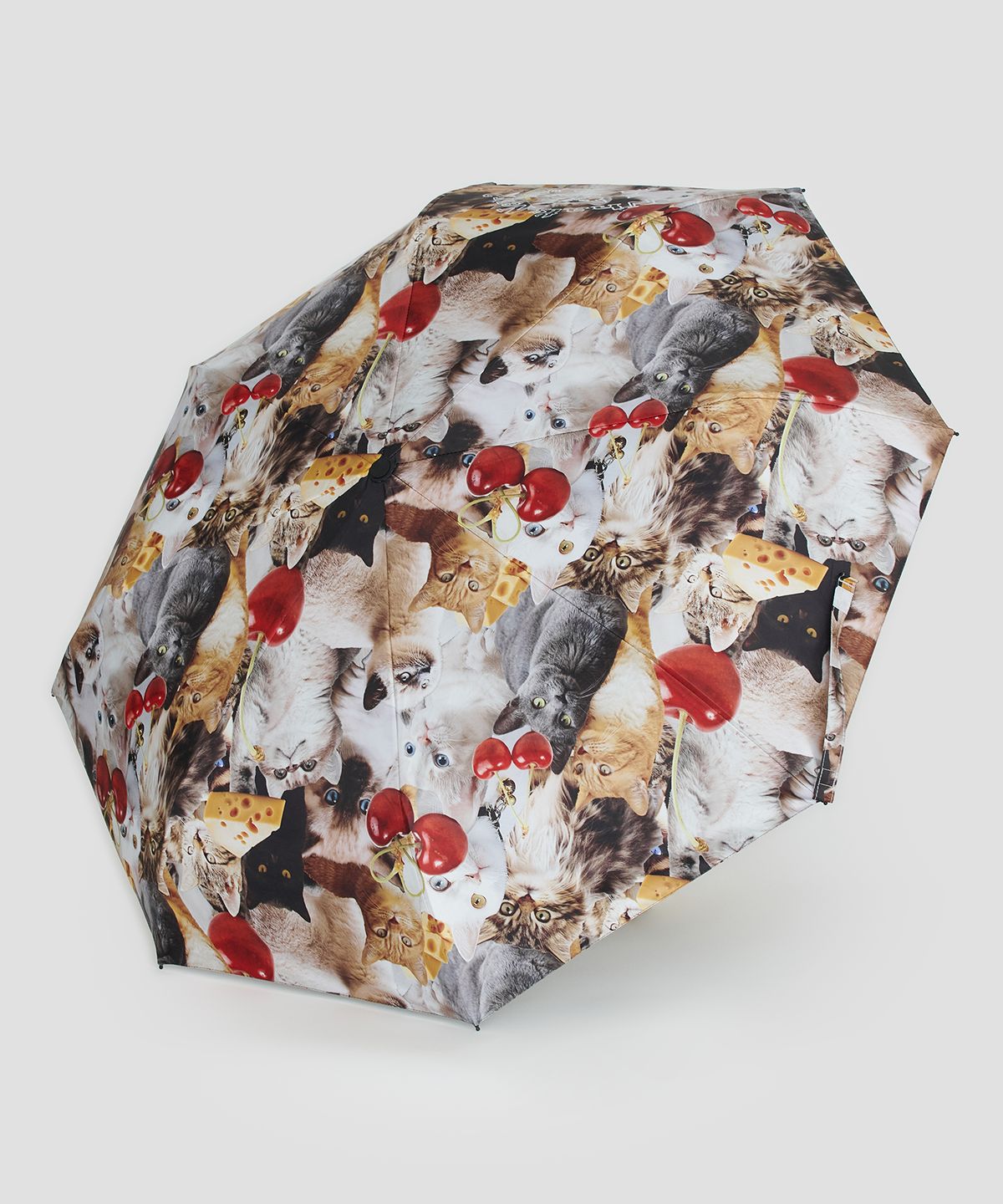 타입서비스(TYPESERVICE) New Cats Umbrella [Red]
