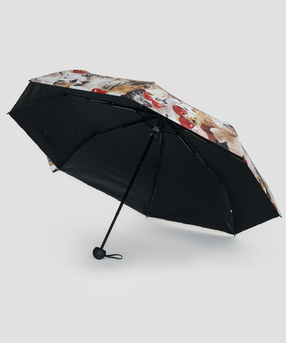 타입서비스(TYPESERVICE) New Cats Umbrella [Red]