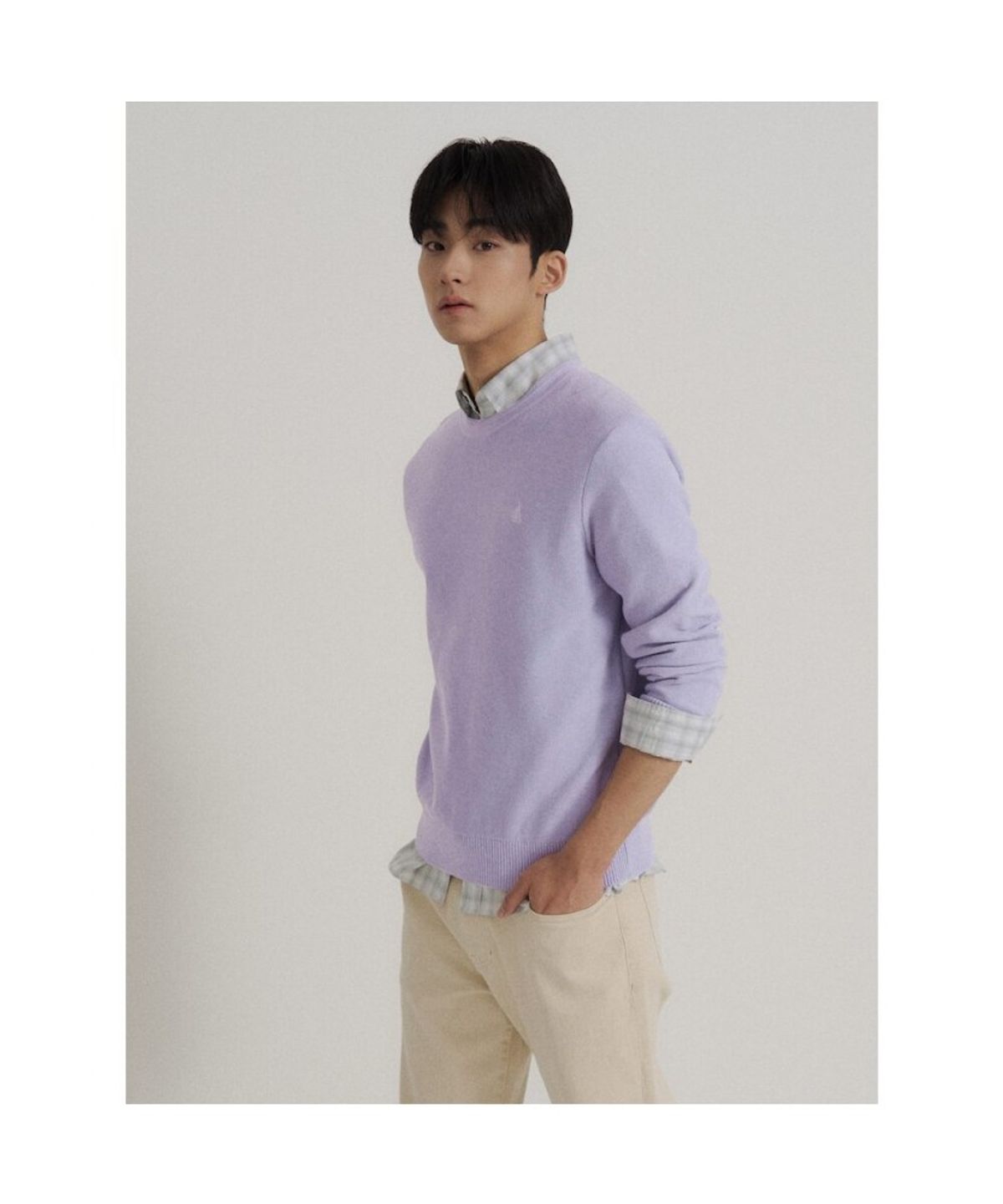 빈폴 멘(BEANPOLE MEN) 코튼 베이직 라운드 니트  라이트 퍼플