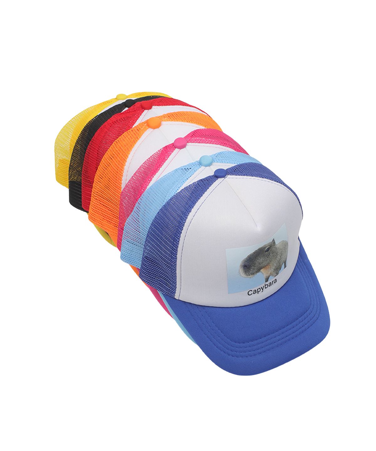 어라이트앵글(ARIGHTANGLE) Capybara trucker cap (7 Color)