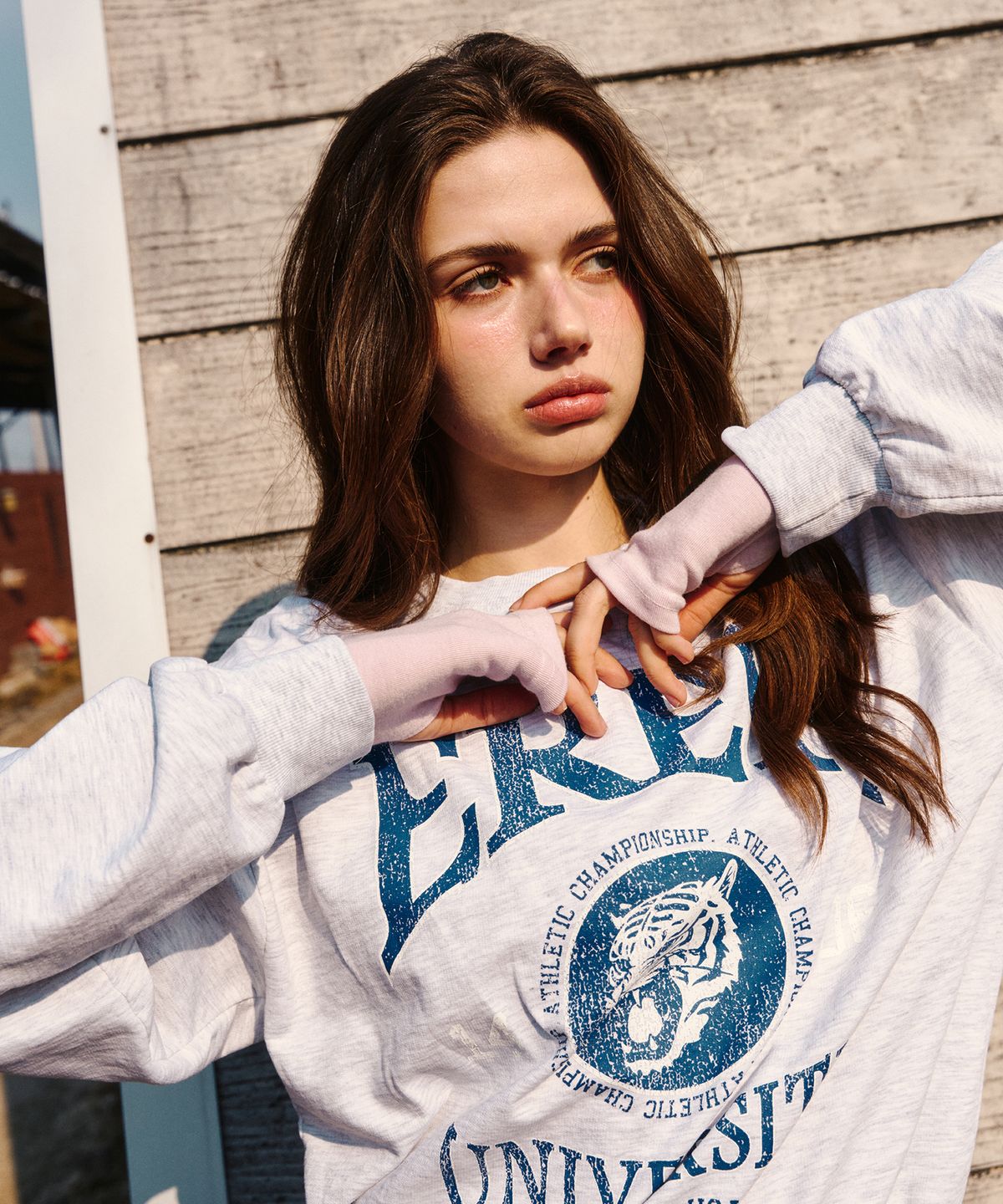 에르에르(ERER) Tiger Print Vintage Sweatshirt Melange Gray