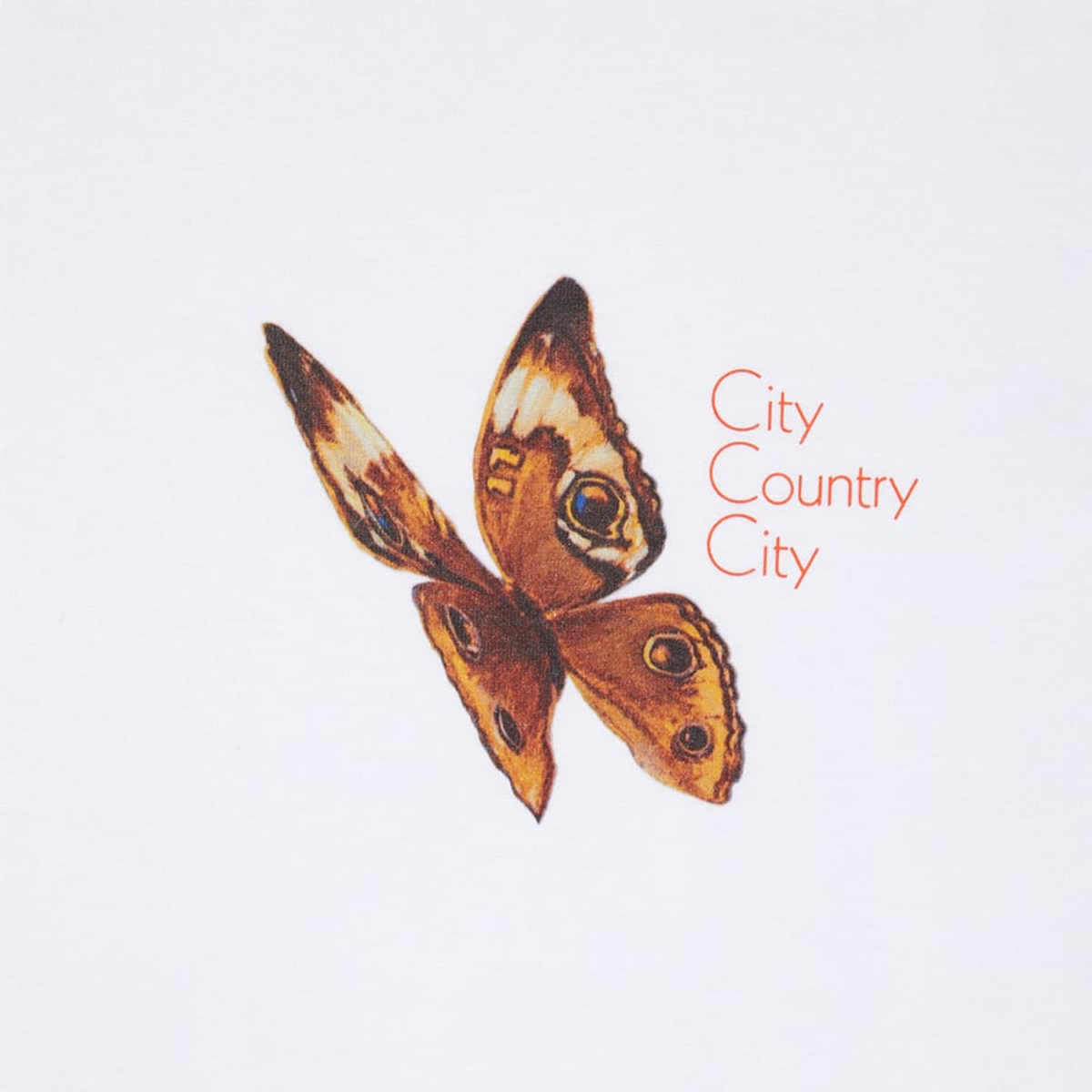 시티 컨트리 시티(CITY COUNTRY CITY) x 로니 리스턴 스미스 코튼 티셔츠 리플렉션 오브 골든 드림 화이트 공용