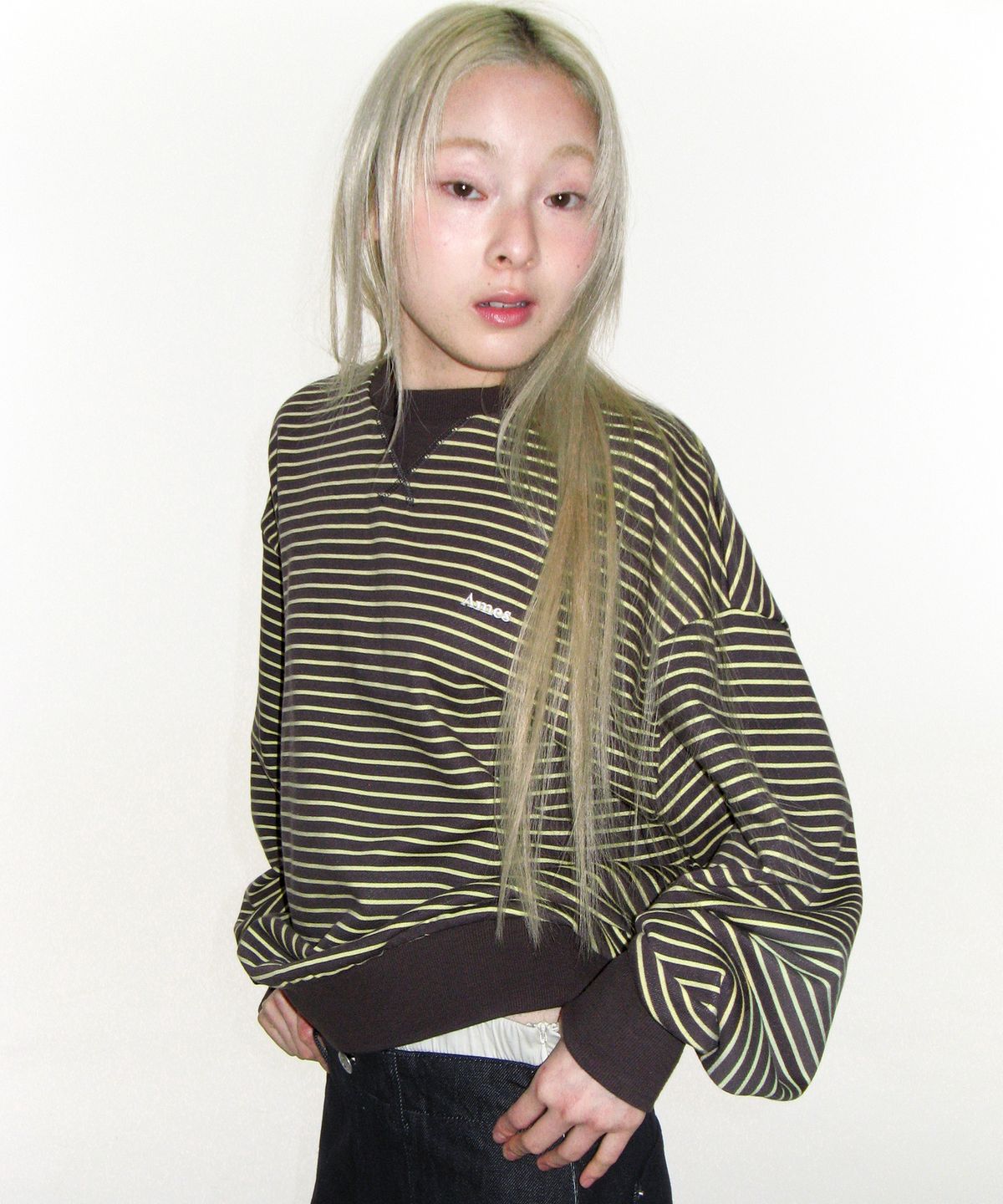 아메스 월드와이드(AMES-WORLDWIDE) BASIC SMALL LOGO STRIPE SWEATSHIRT BROWN