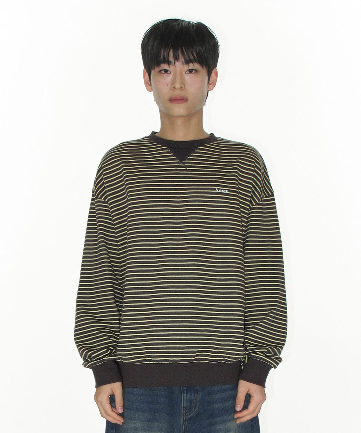 아메스 월드와이드(AMES-WORLDWIDE) BASIC SMALL LOGO STRIPE SWEATSHIRT BROWN