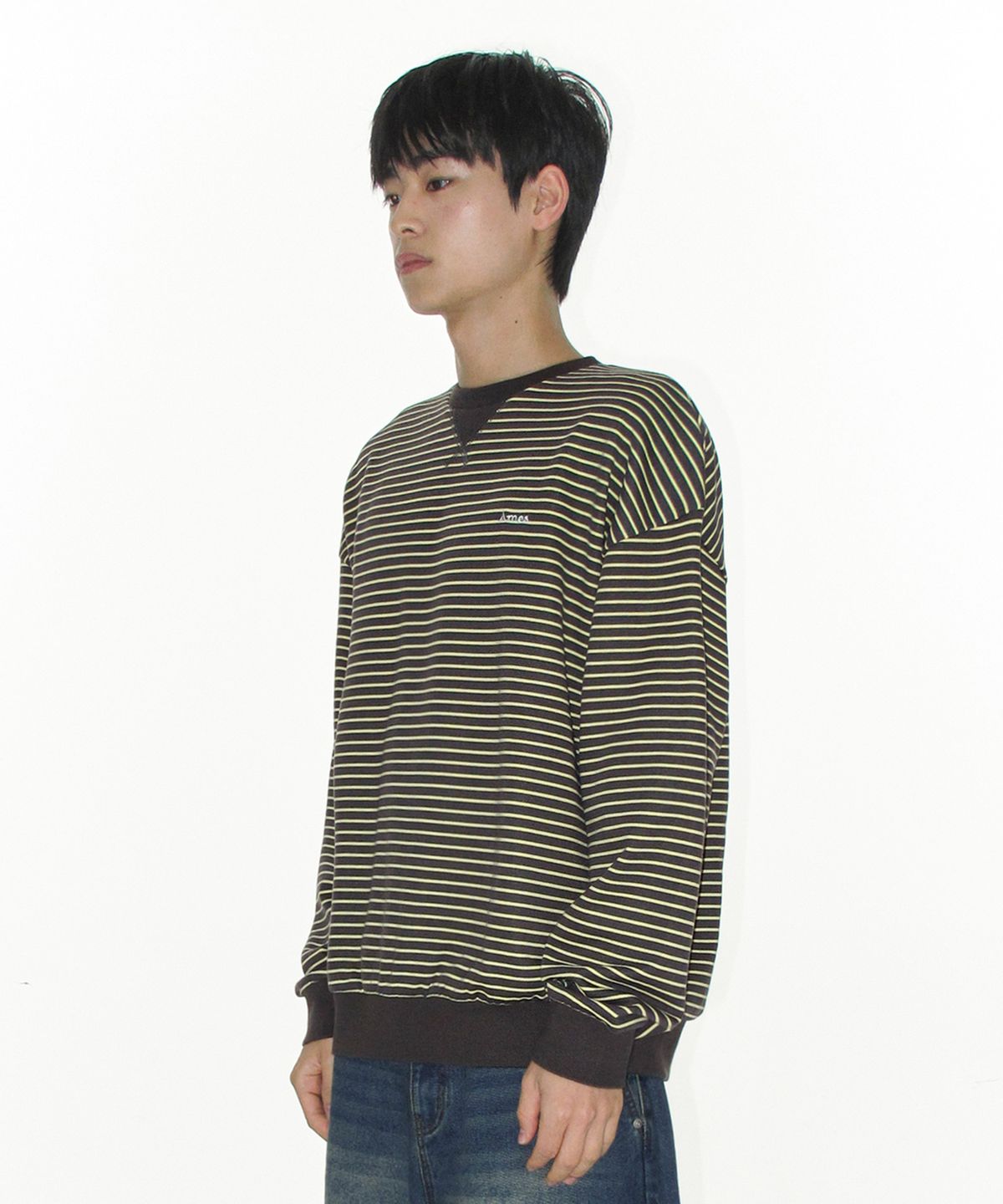 아메스 월드와이드(AMES-WORLDWIDE) BASIC SMALL LOGO STRIPE SWEATSHIRT BROWN