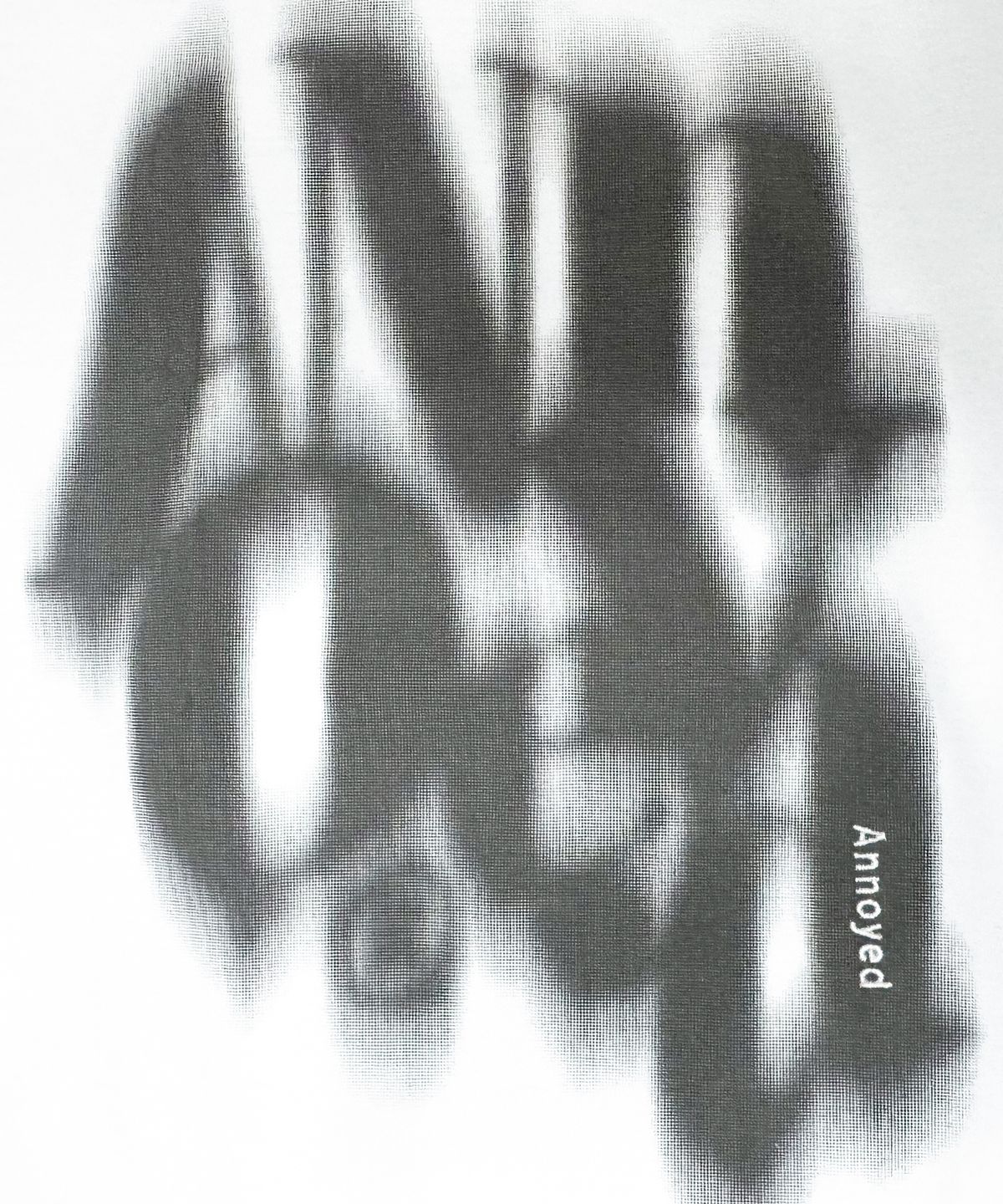 어노이드(ANNOYED) 쉐도우 빅 로고 맨투맨 LQ6TU141_OFF WHITE