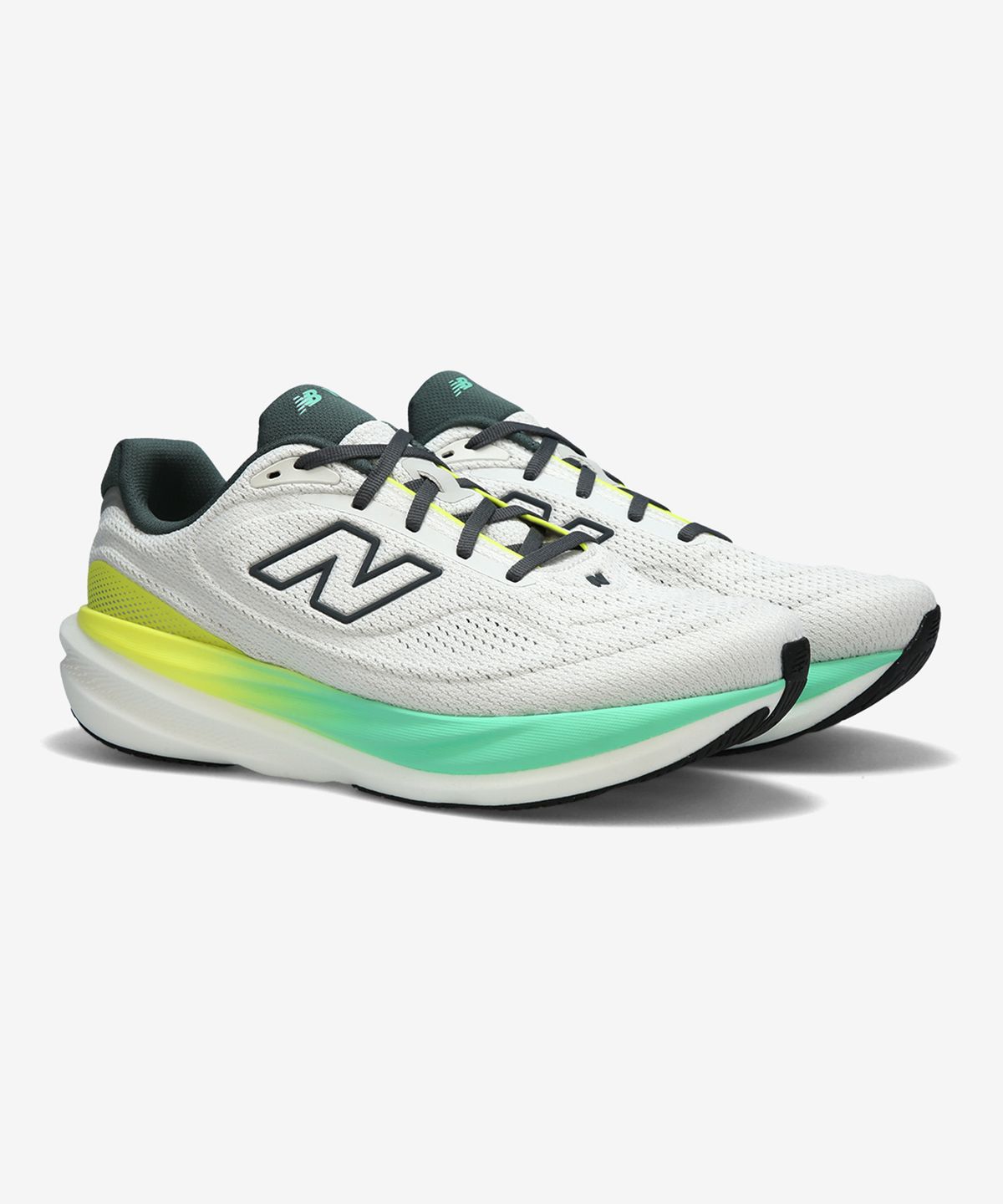 뉴발란스(NEW BALANCE) NBPFGS102M / 1080 V15 (남성, 4E) (L/GRAY)