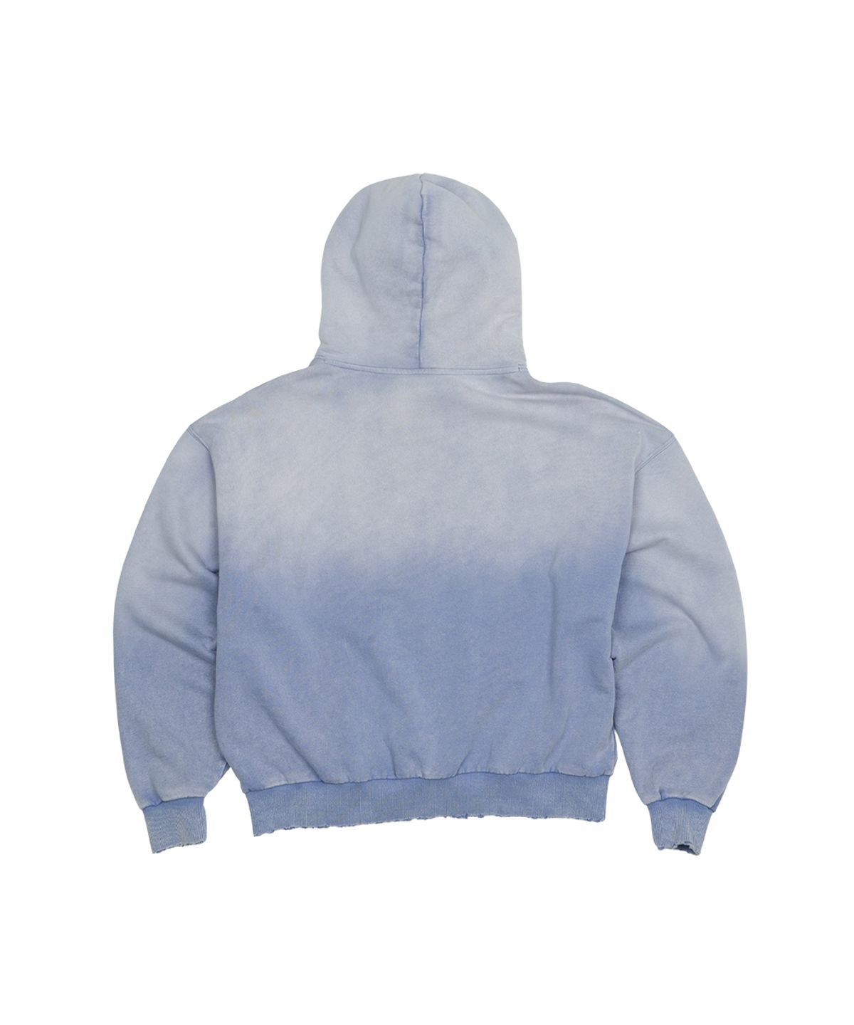그레일즈(GRAILZ) VINTAGE PARODY HOODIE [BLUE]