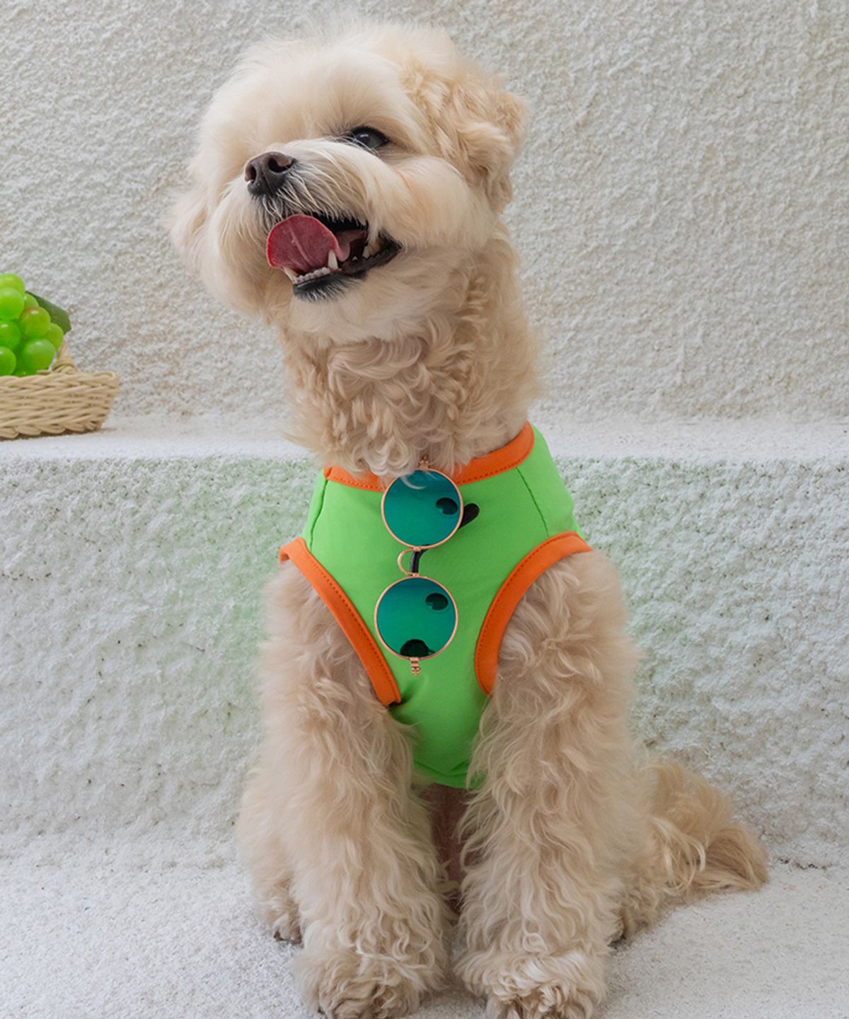 도그아이(DOGI) 강아지여름옷 애견의류 쿨링 베스트 그린