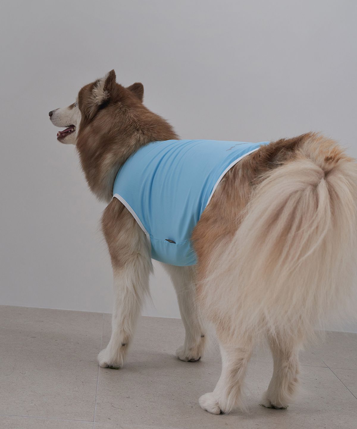 도그아이(DOGI) 강아지여름옷 애견의류 쿨링 베스트 블루