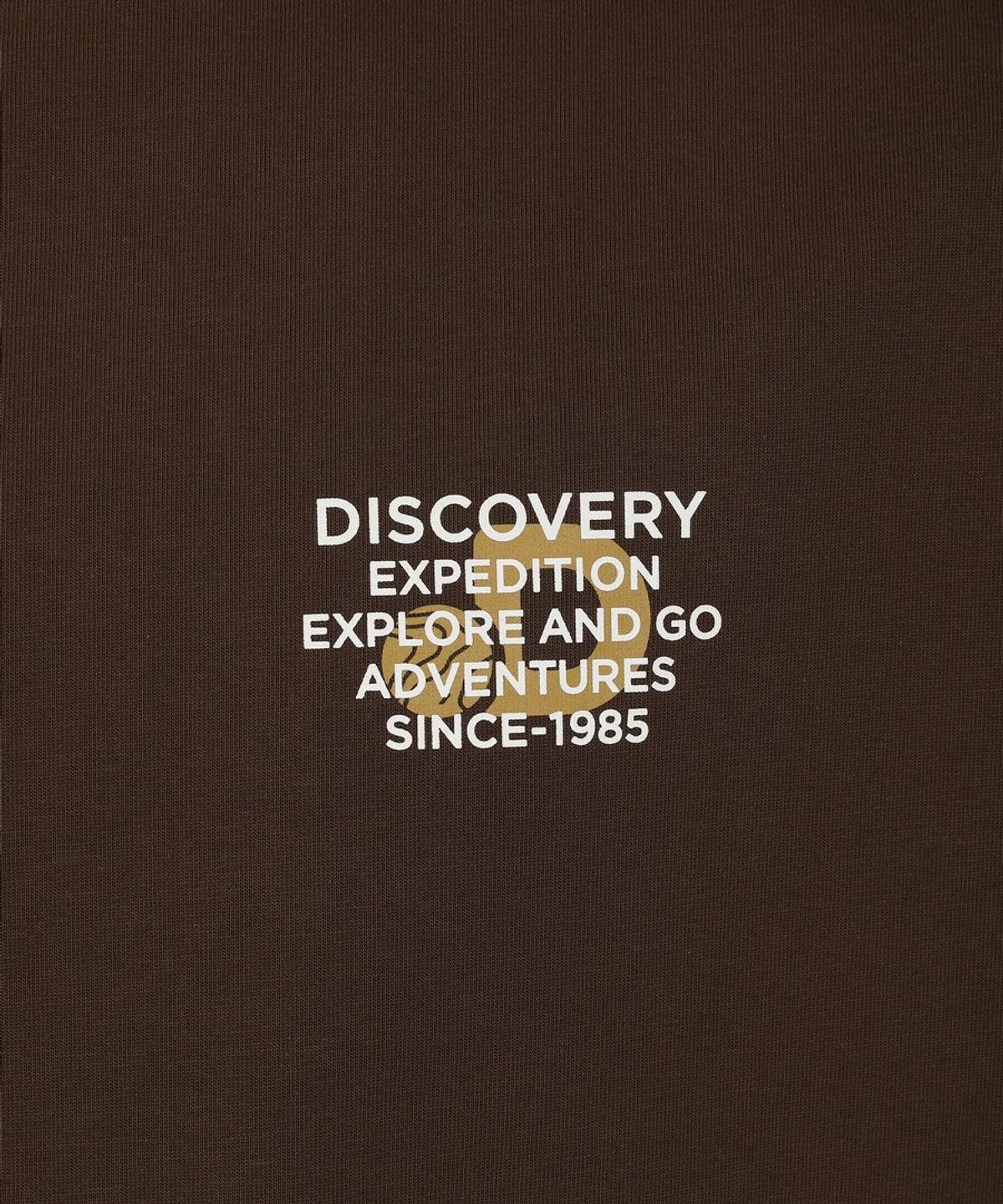 디스커버리 익스페디션(DISCOVERY EXPEDITION) 유니 헤비웨이트 스몰레터 반팔티셔츠 (Brown)
