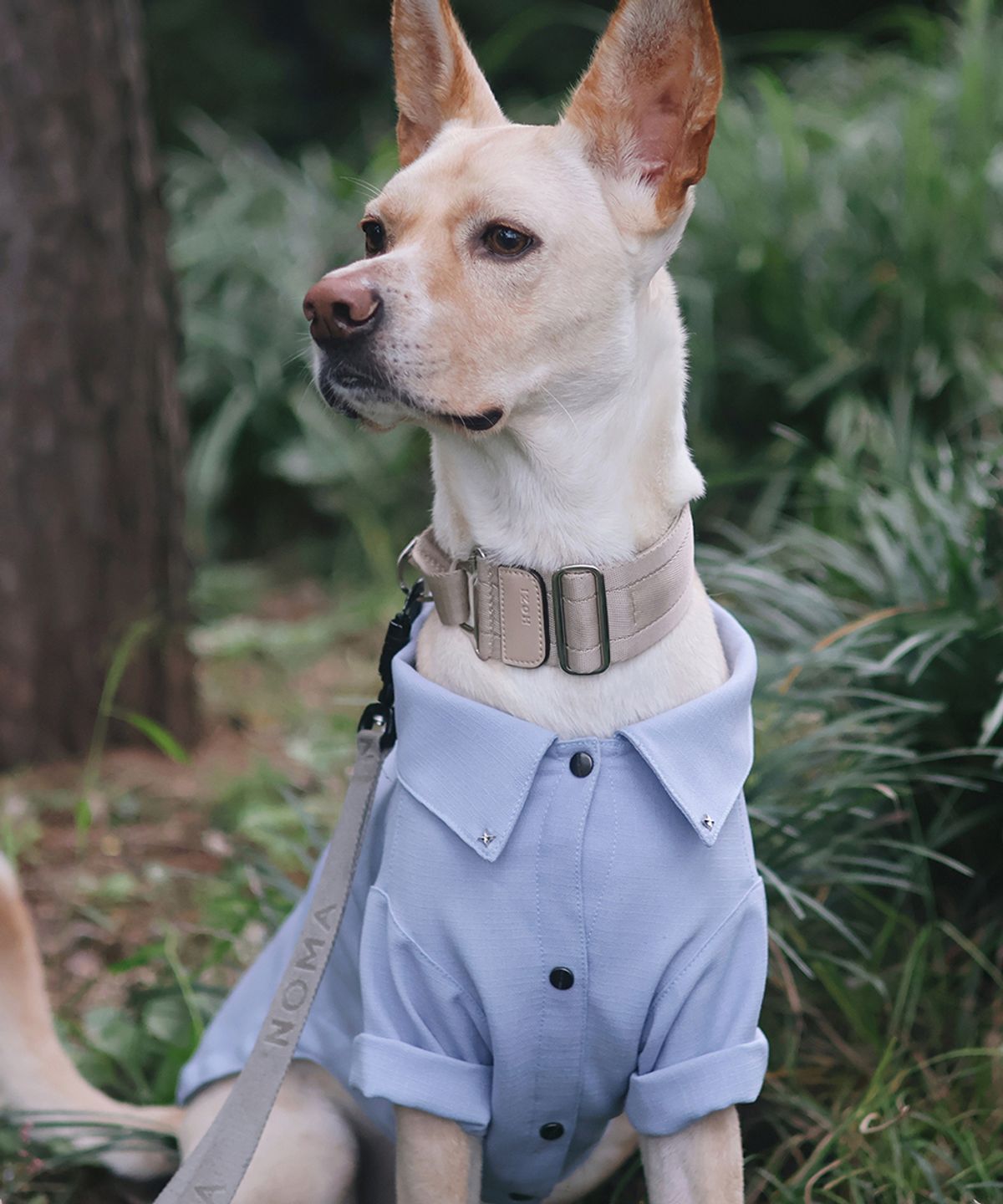 니즈더펫(NEEDS THE PET) 노블 클래식 강아지 셔츠
