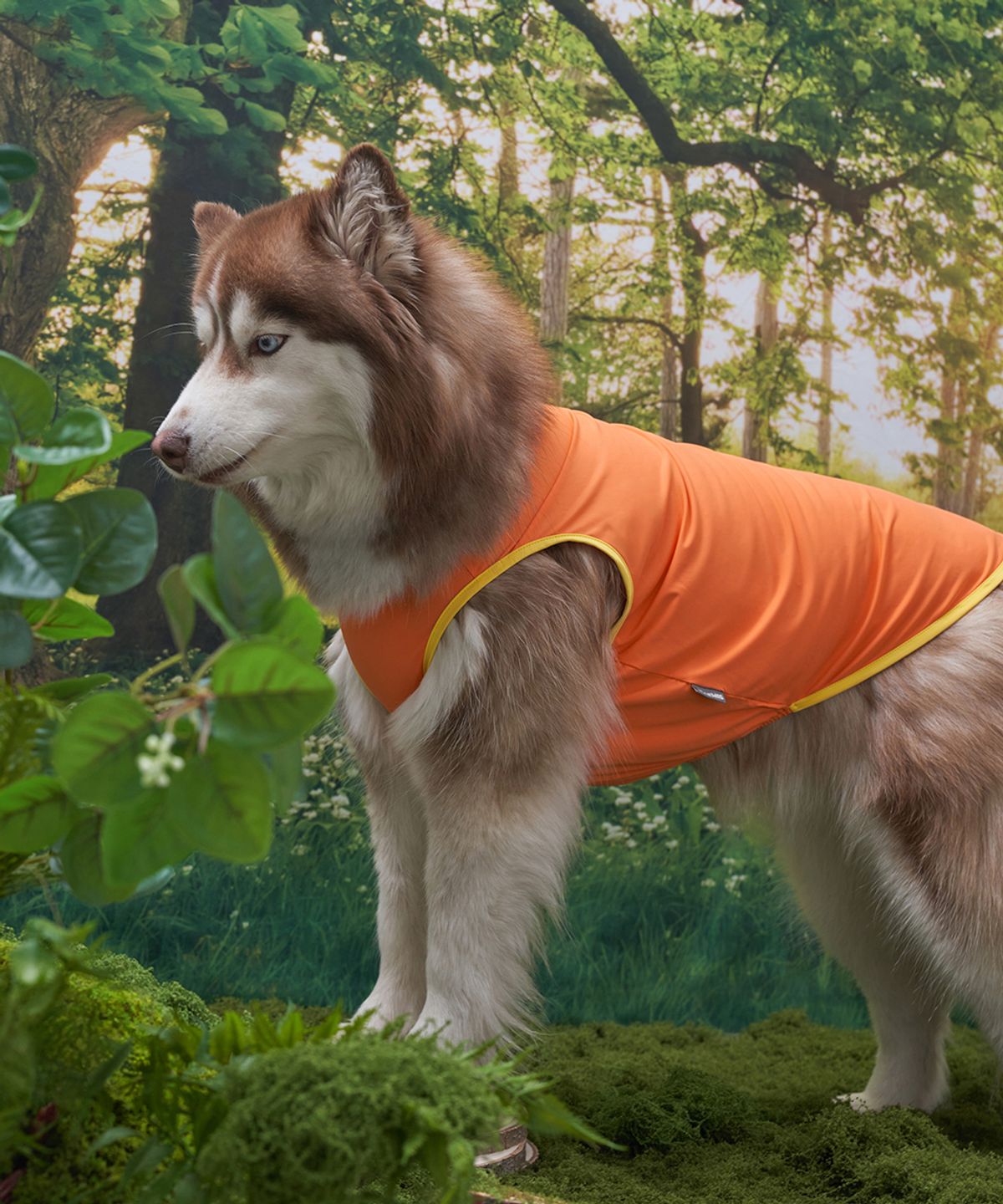 도그아이(DOGI) 강아지여름옷 애견의류 쿨링 베스트 오렌지